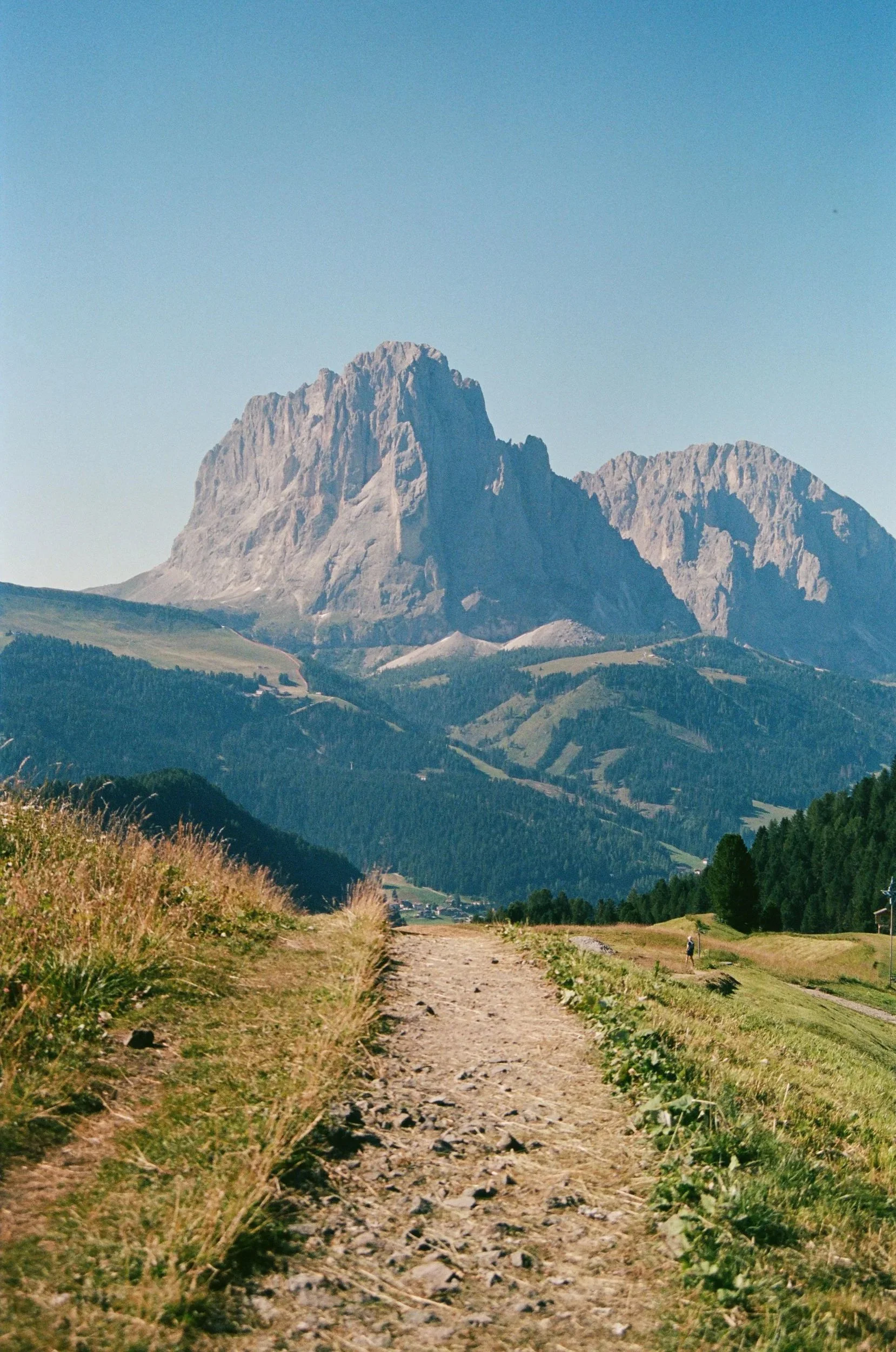 Trail to Dreamland (Print - 11x14)
