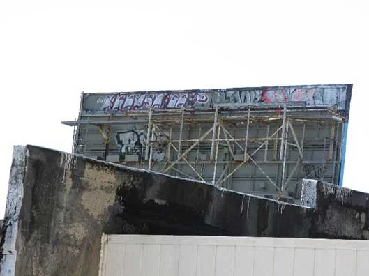 Photo of the subject of Jenny Robinson's print taken from the back deck at Eastside Editions in San Francisco. Photo by Katherine Blood.