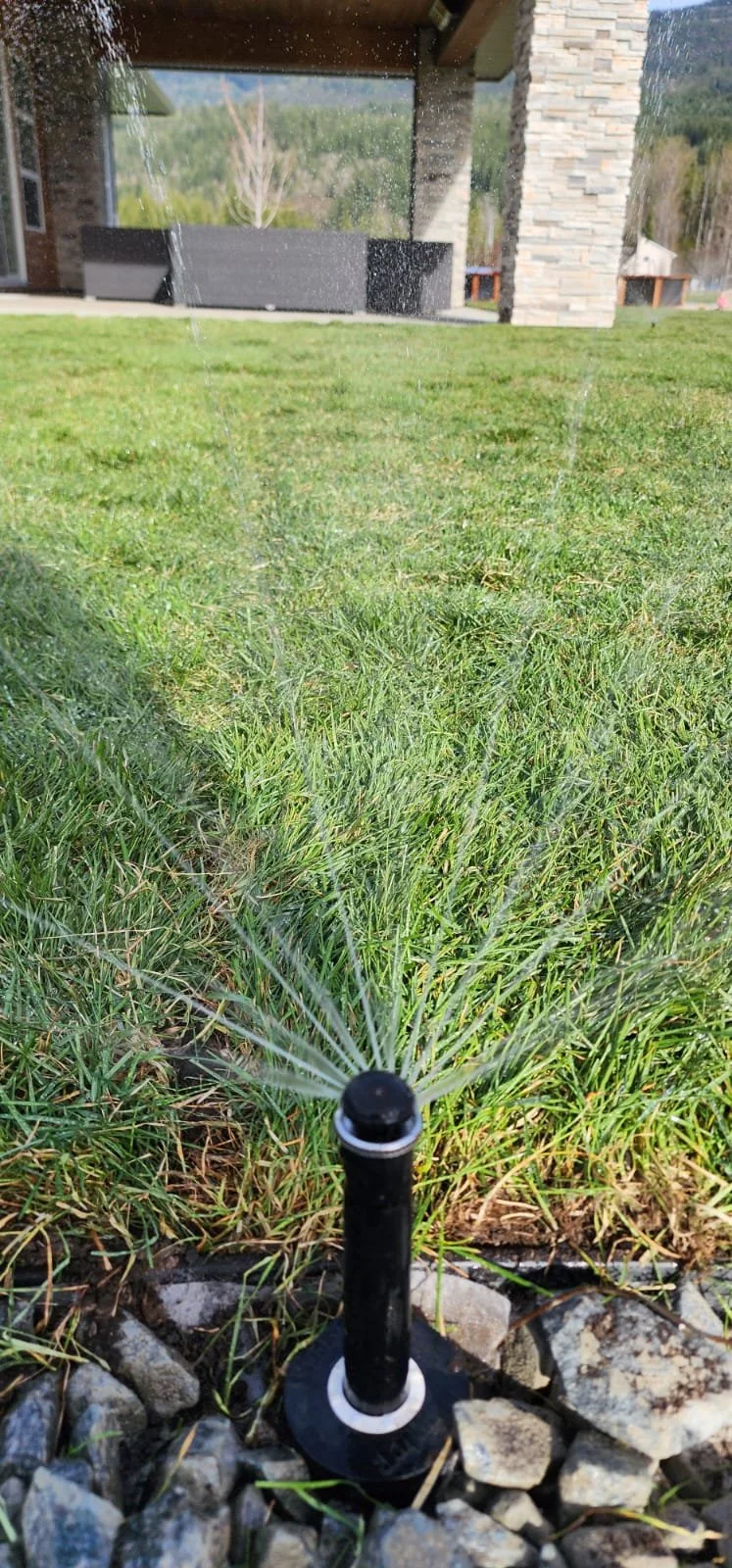 A black rotary sprinkler watering green grass in a backyard garden with rocks around the base of the sprinkler in Salmon Arm, BC.