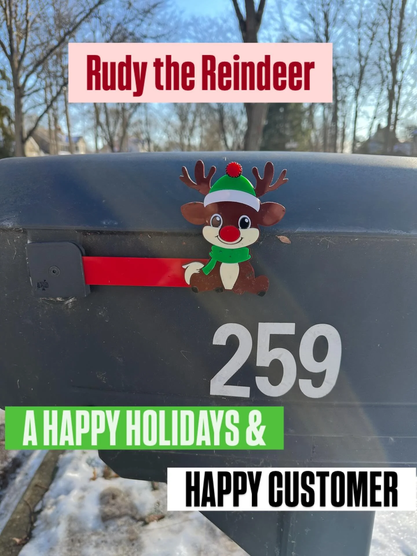 One of our customers was so excited about their custom holiday mailbox flag that they shared a picture of Rudy the Reindeer installed on their mailbox! We are constantly coming up with new custom flag collections so follow us for the latest design dr