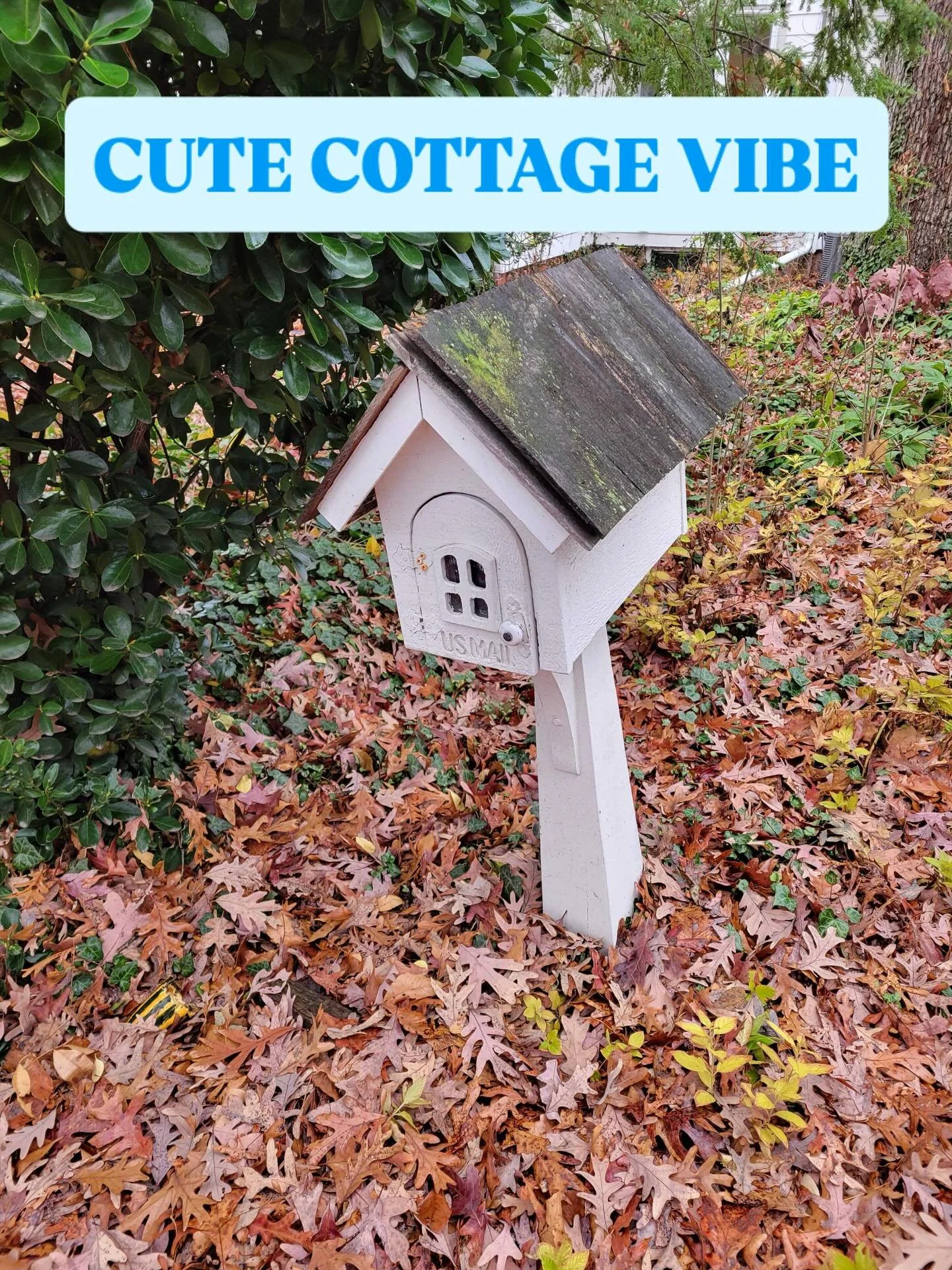 Someone shared a picture of this mailbox on their daily walk. What a cute cottage design - maybe we should recreate it. Vote below if you want us to build our own version !