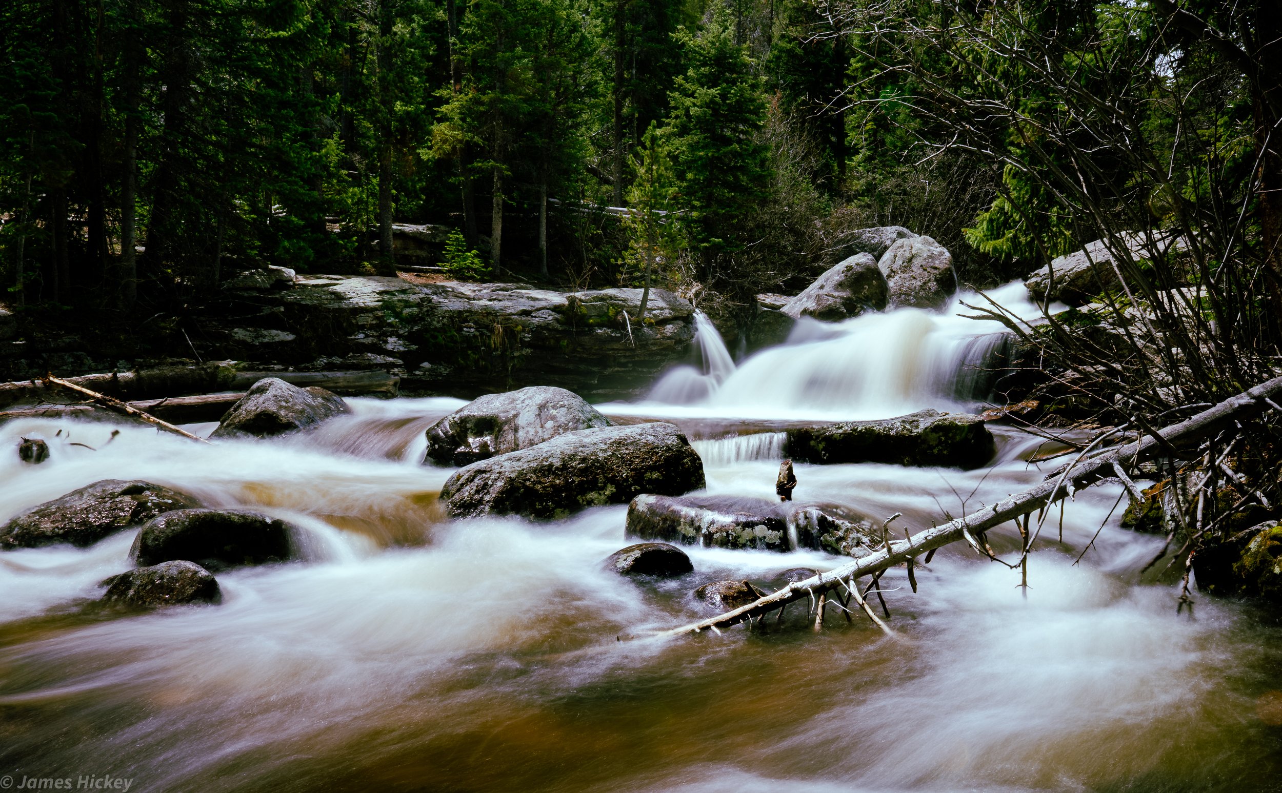 _DSC7187.jpg