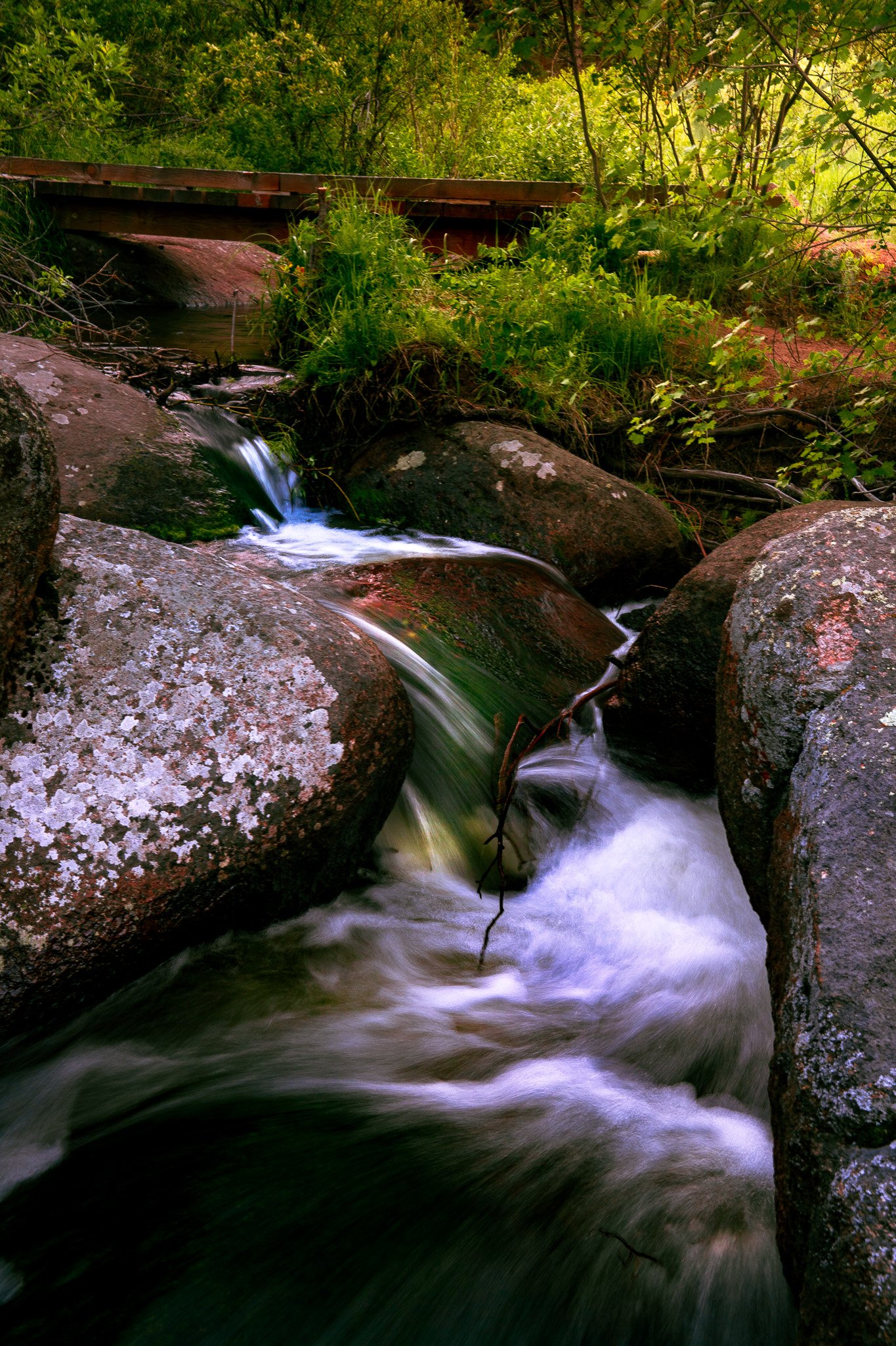 _DSC0725.jpg