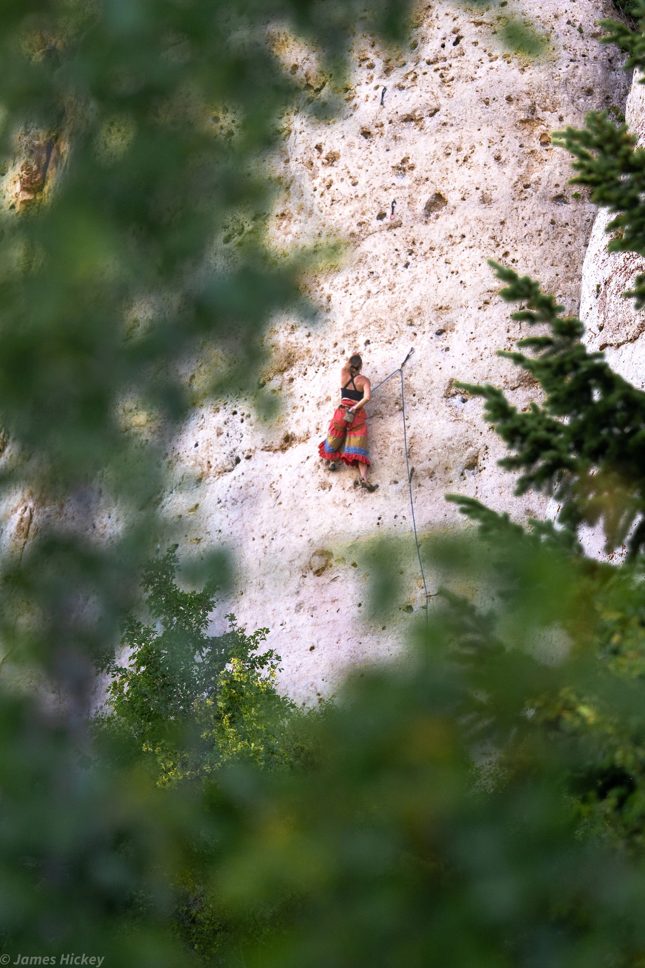 A woman rock climbing on a vertical, rugged, sandy-colored cliff wall, partially framed by green foliage in the foreground.