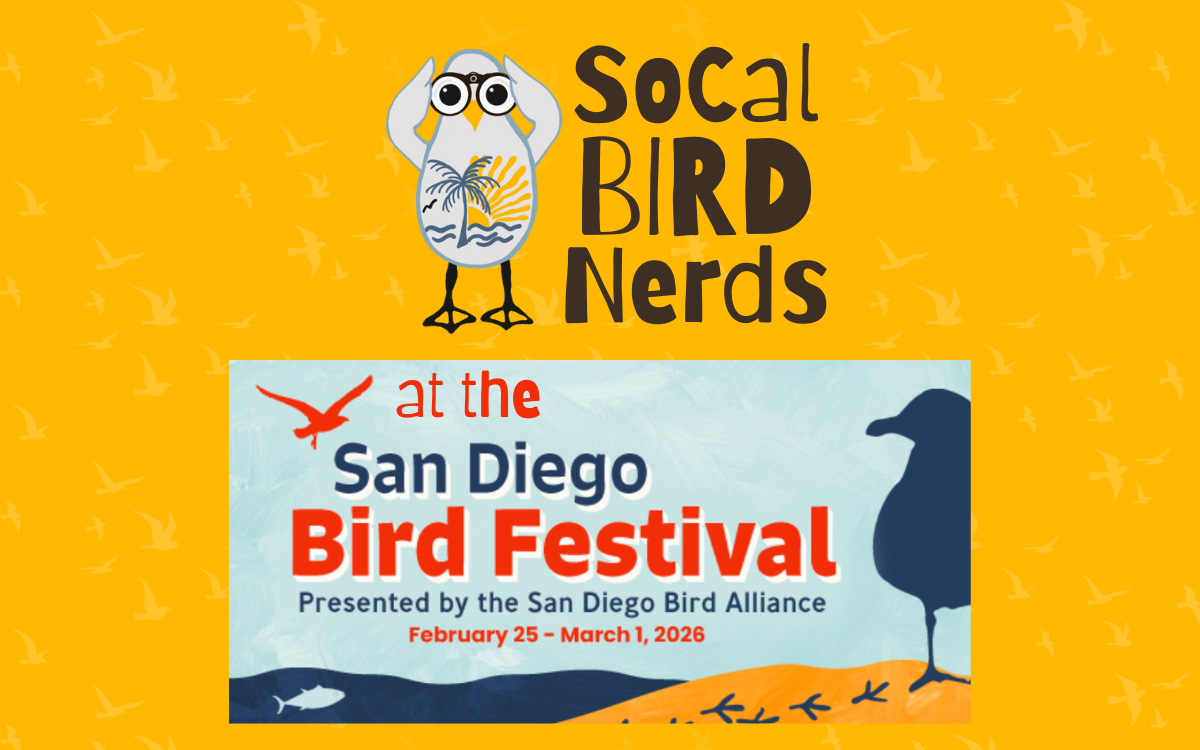 San Diego Bird Festival 2026