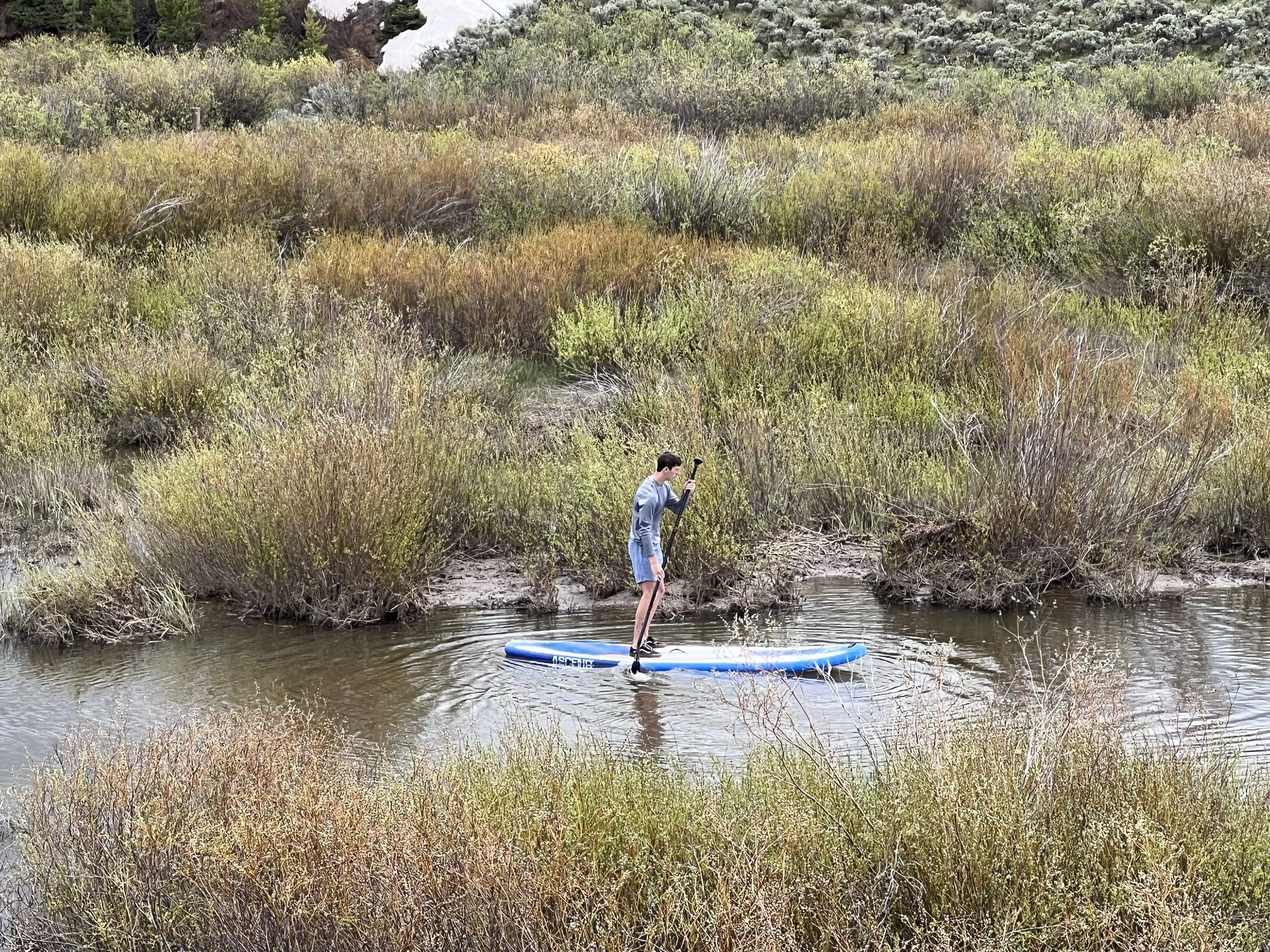 A person standing on a paddleboard on a small body of water, surrounded by tall bushes and dense greenery on the shoreline.