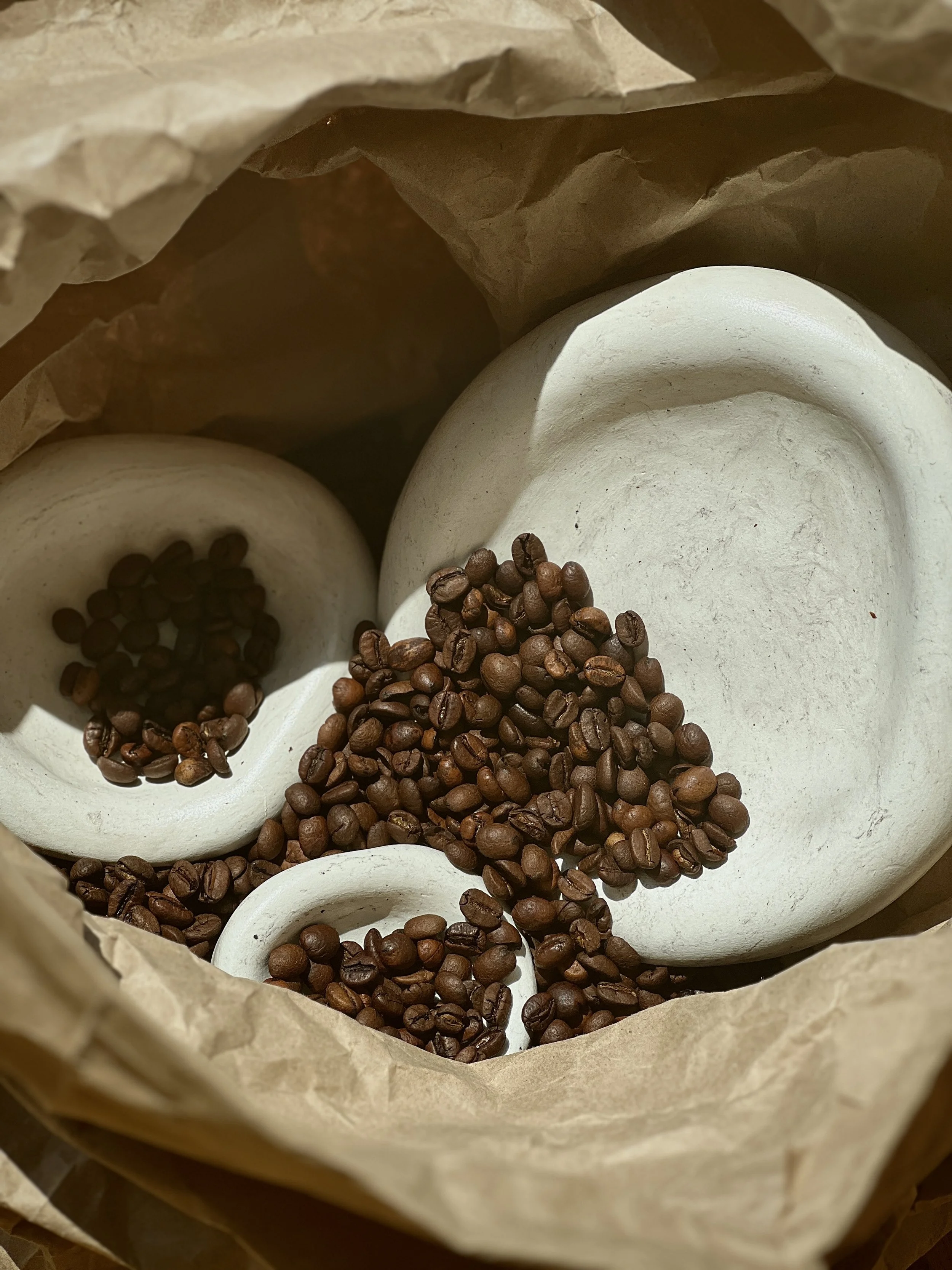 essential bean bundle