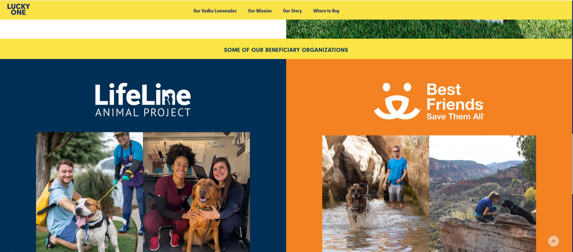 Marketing lead for Lucky One Lemonade x LifeLine brand partnership resulting in a substantial proceeds donation.