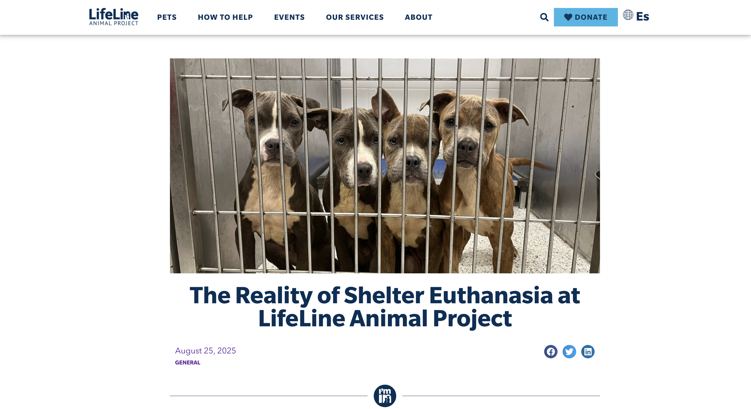 Sample of LifeLine blog content as part of an ongoing SEO and organic growth strategy resulting in millions of annual views. 