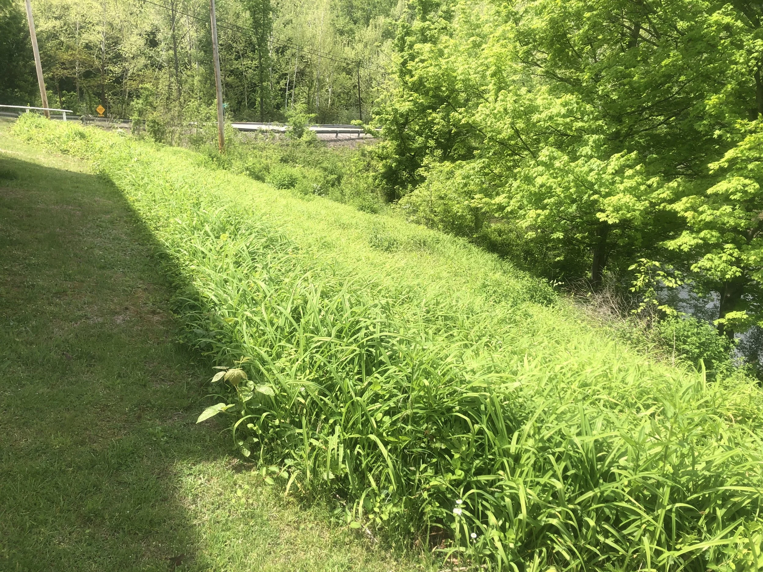 Summer 2026                               Where Community Takes Root