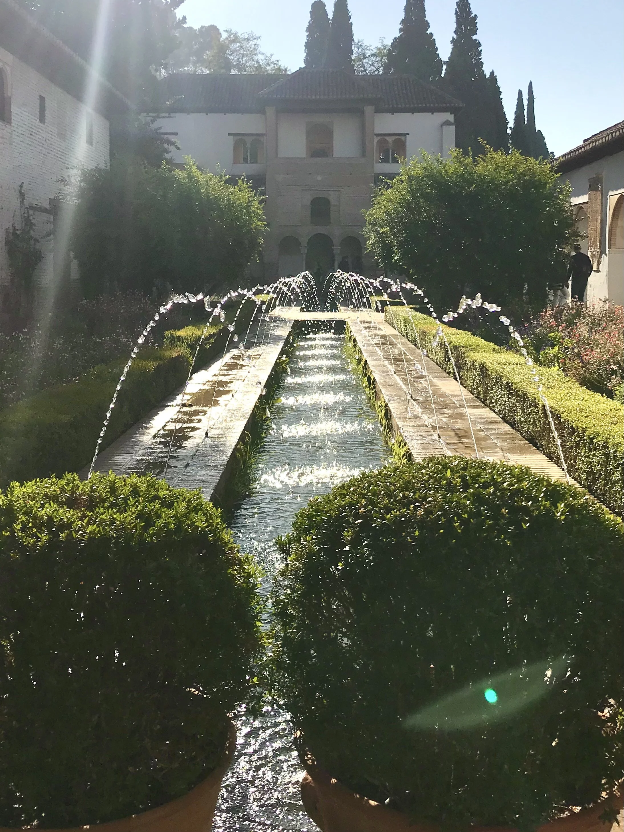 IMG_0992.jpeg