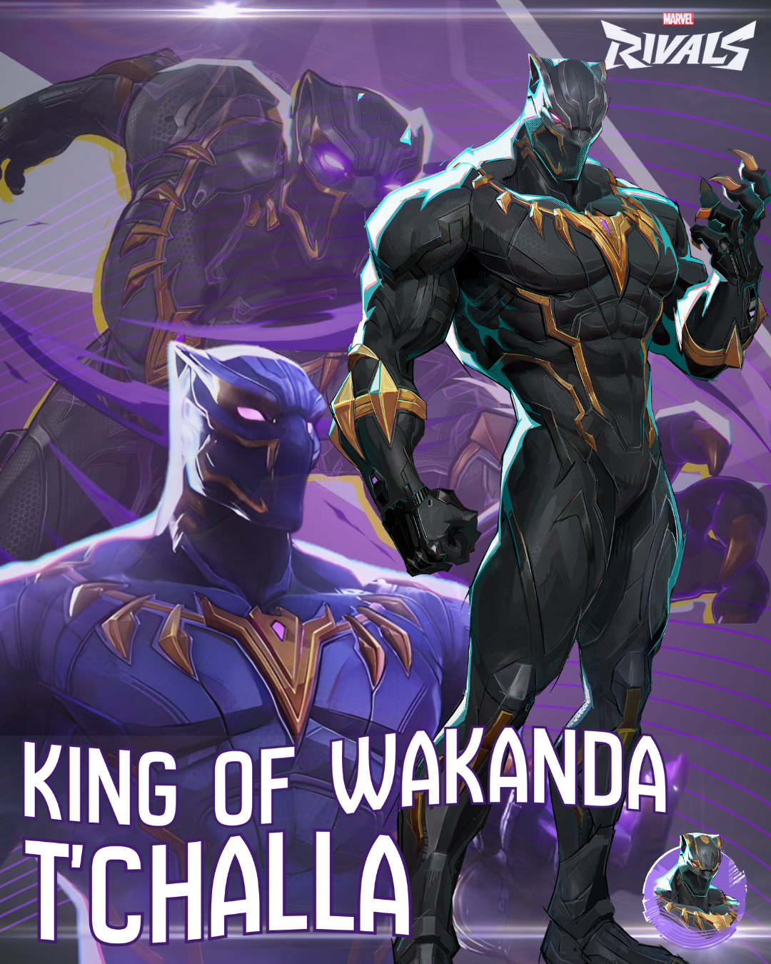 Marvel Rivals Black Panther.png