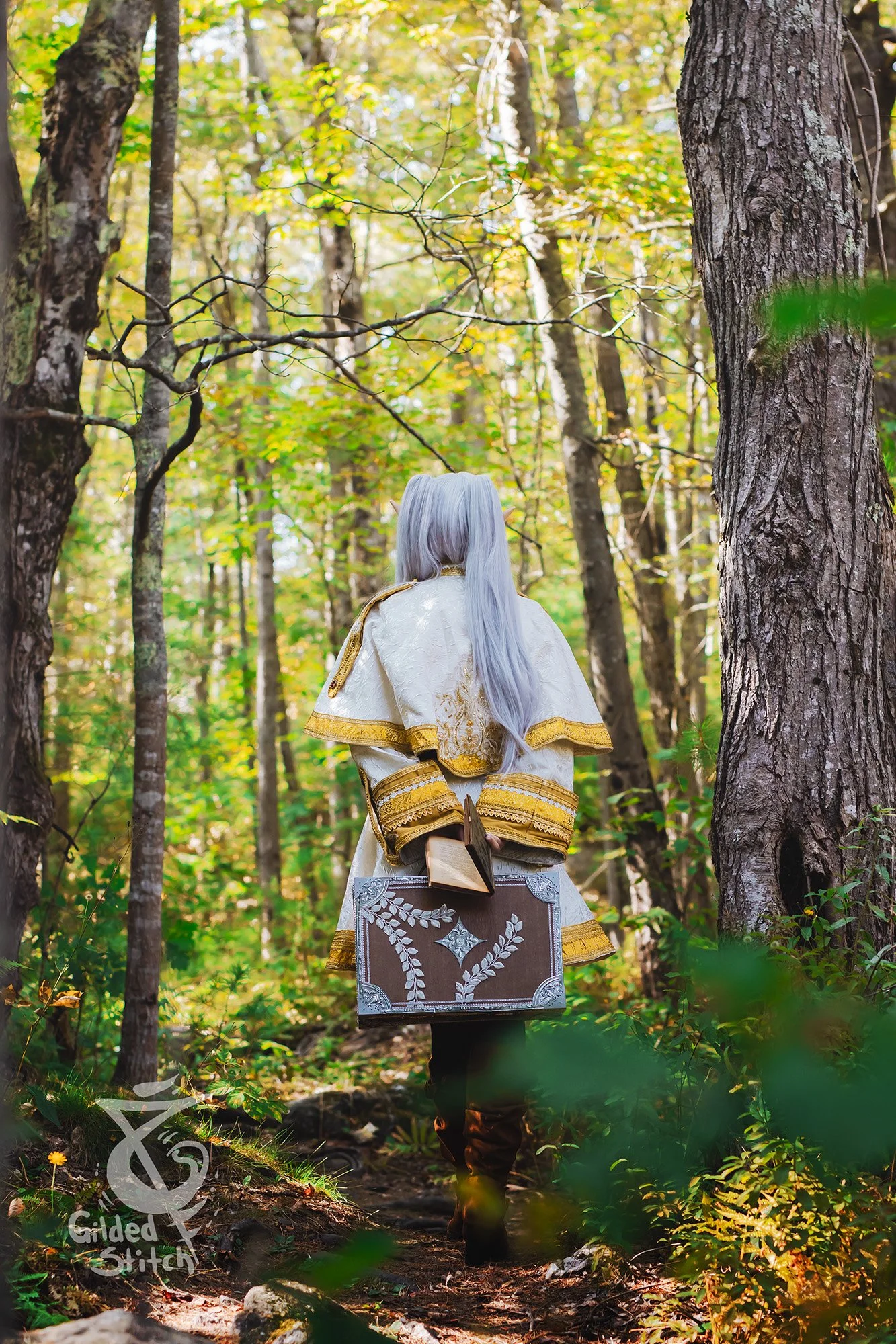 FrierenForest11.jpg
