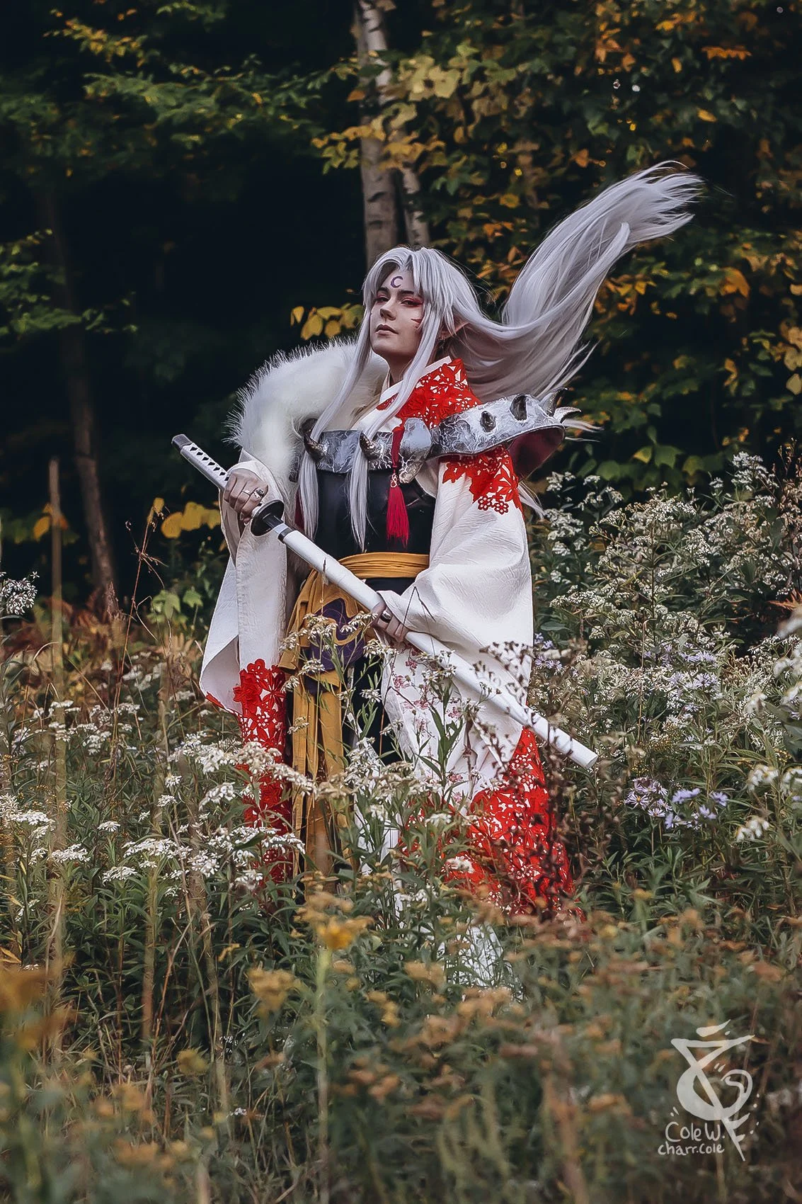 Sesshomaru6.jpg