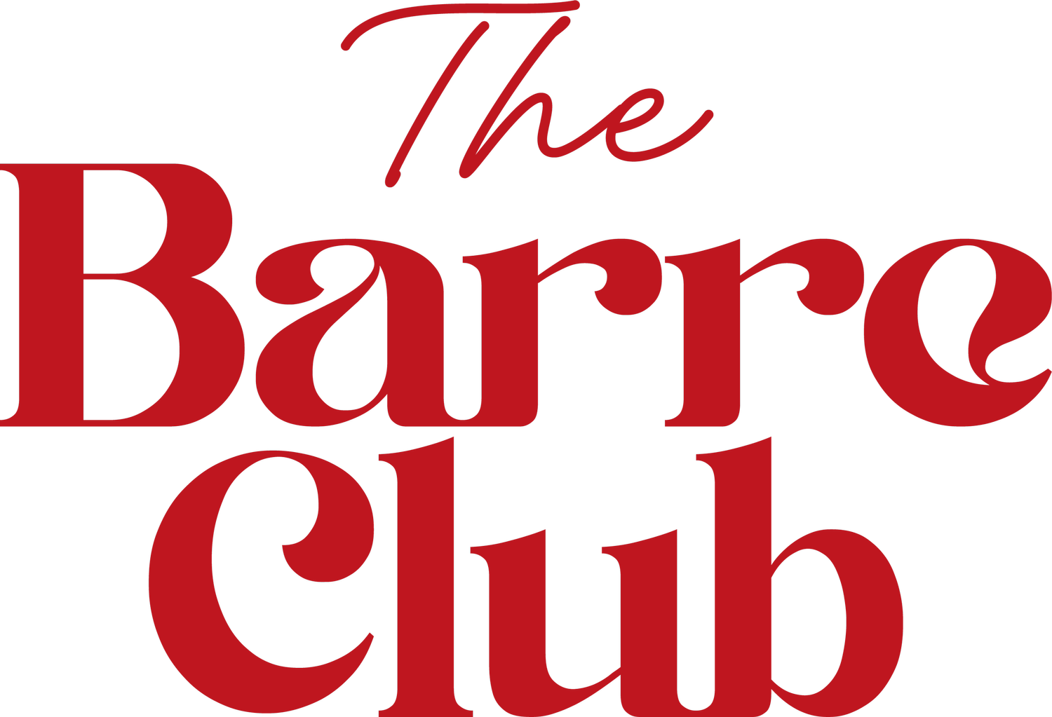 The Barre Club Donosti