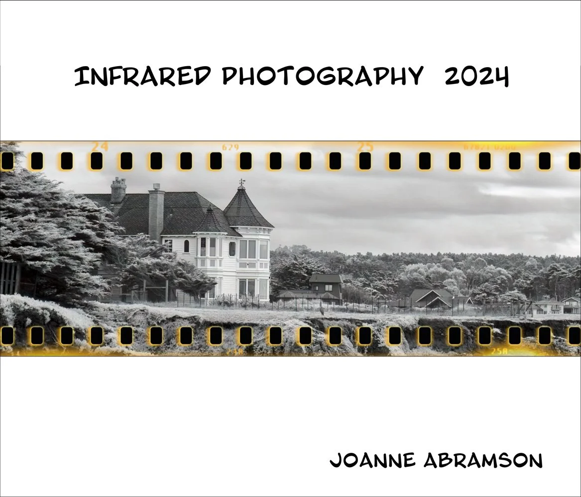 Infrared Photography 2024