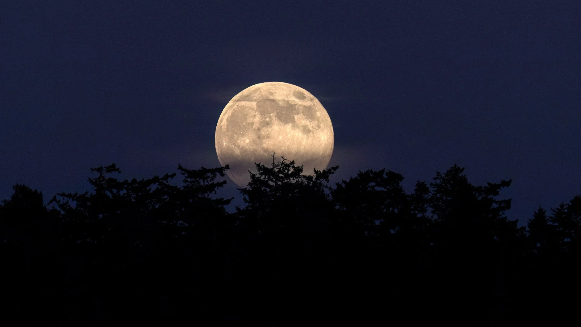 Full-Moon-Rise-Silhouette-Crop_1943-1.jpg