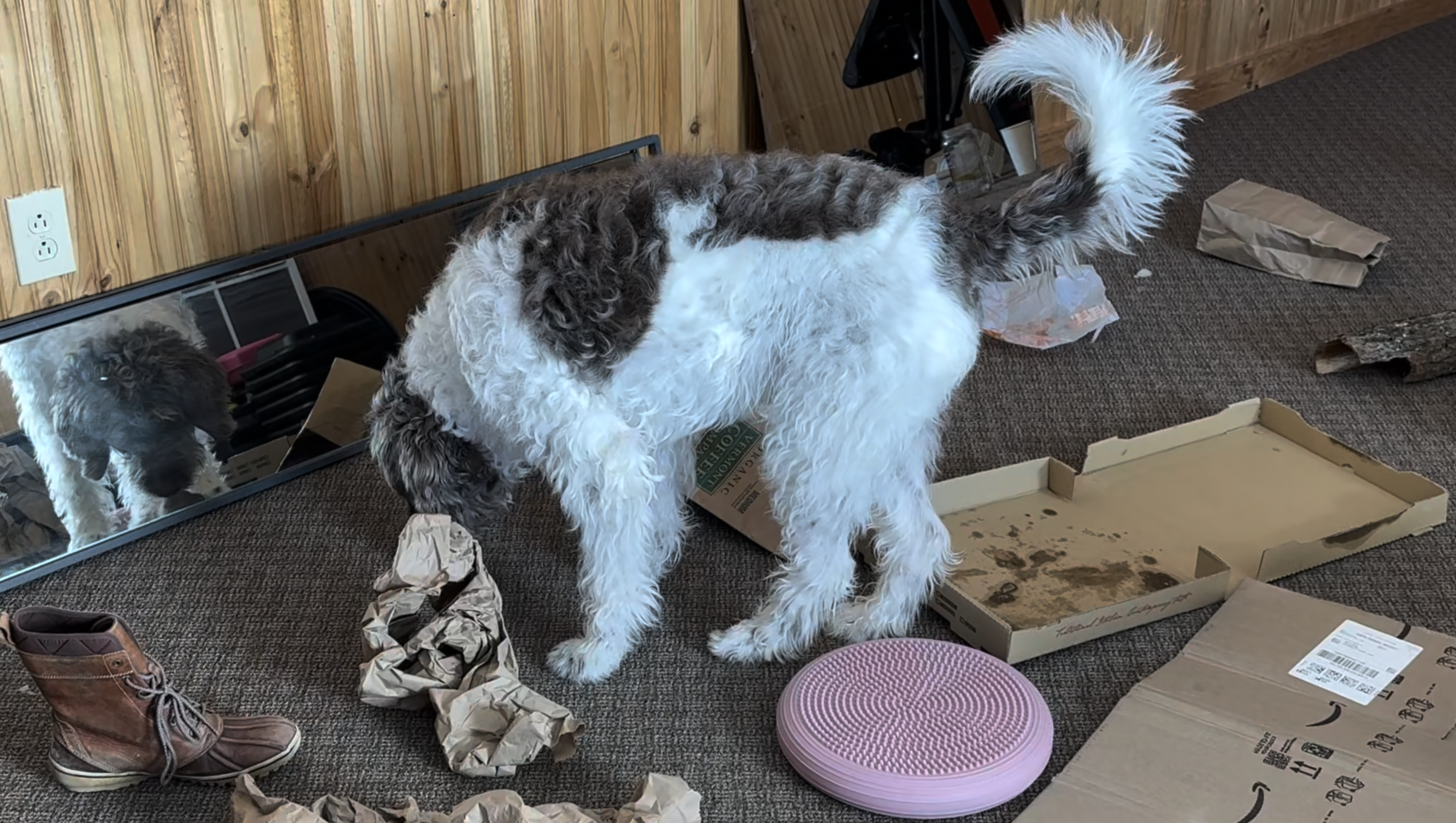 From "Control" to "Curiosity": Why I’m Bringing Sensory Enrichment to Vermont