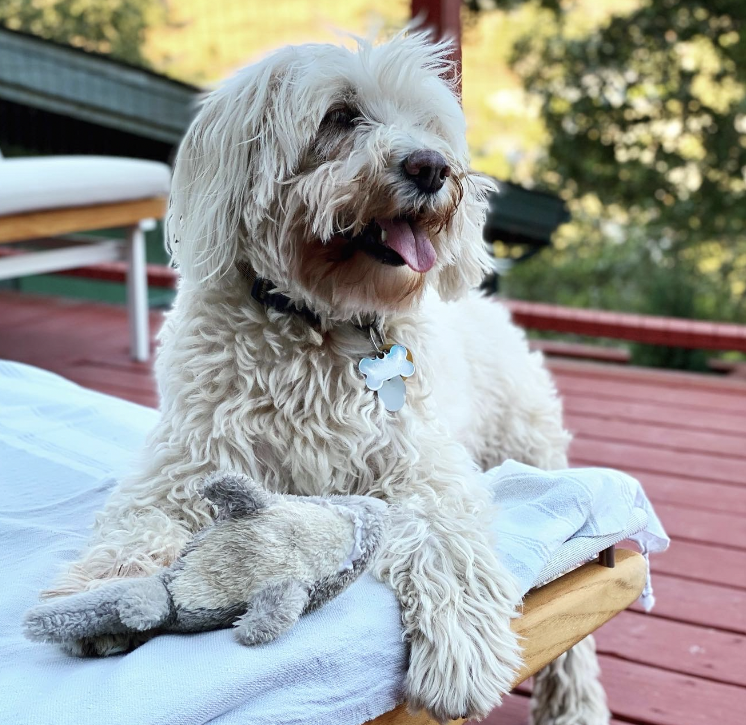 Screenshot 2025-12-03 at 12.06.16 PM.png