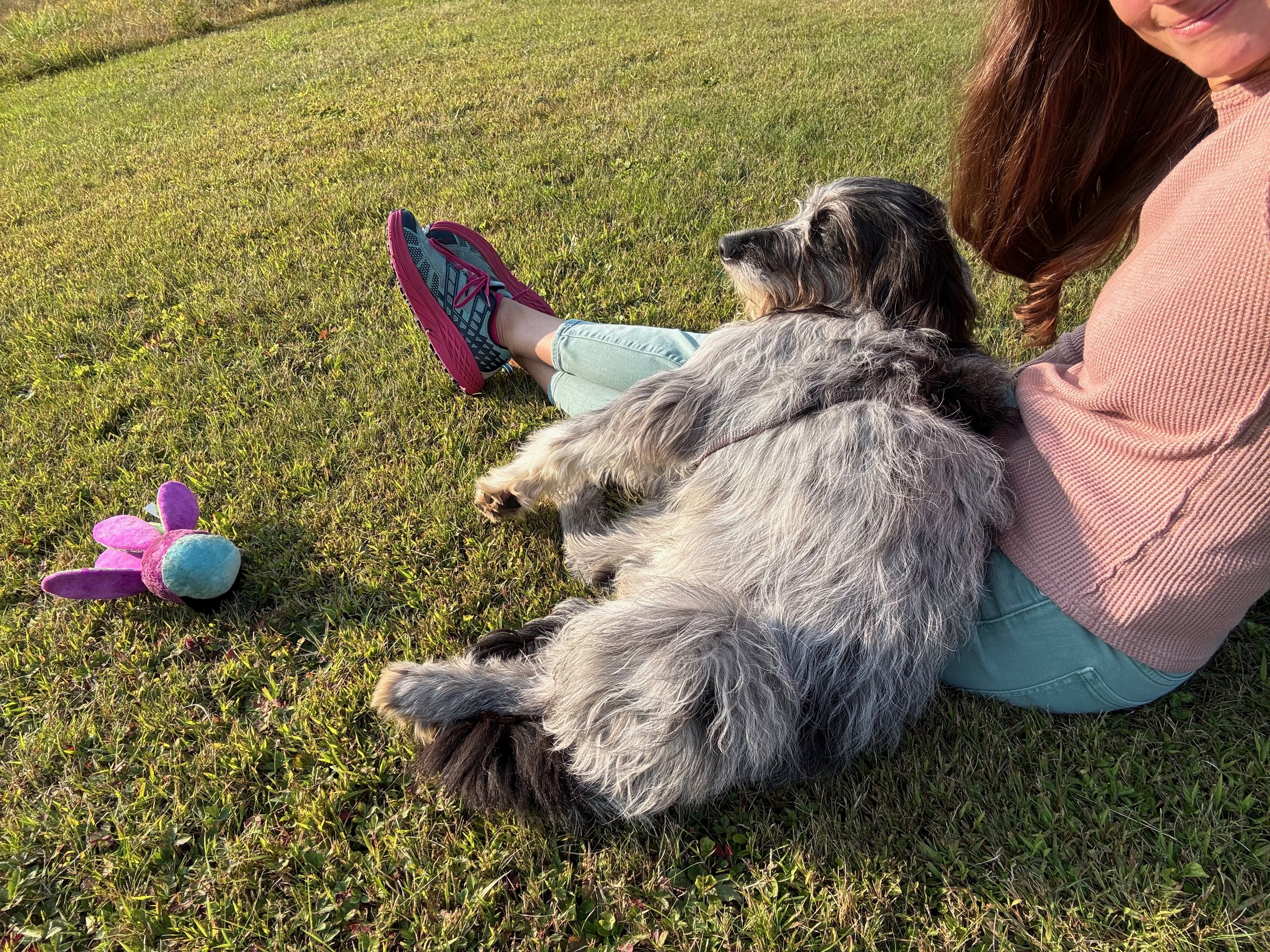 A person with long brown hair, wearing a pinkish-brown sweater and teal pants, is sitting on green grass with a dog laying beside her. The dog is gray and black with a fluffy coat. There is a colorful plush toy nearby on the grass.