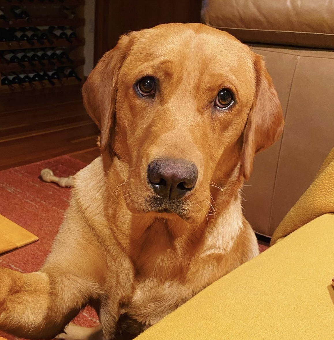 Screenshot 2025-12-03 at 1.05.12 PM.png