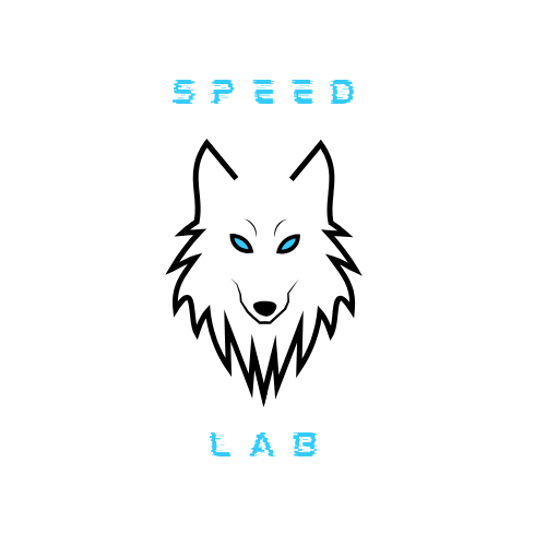 Custom logo for new sports company, Speed Lab. Speed and endurance company in Fairfield County Connecticut. 