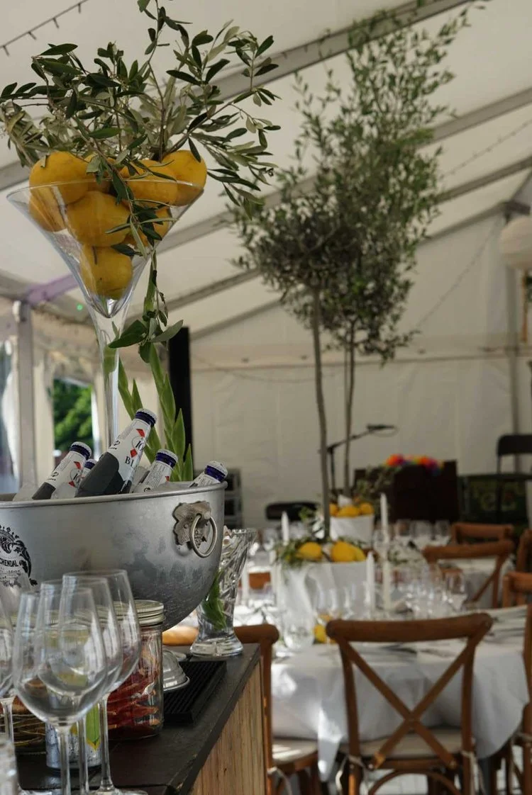 Mobil bar og cocktail catering med fri bar til fest i Århus