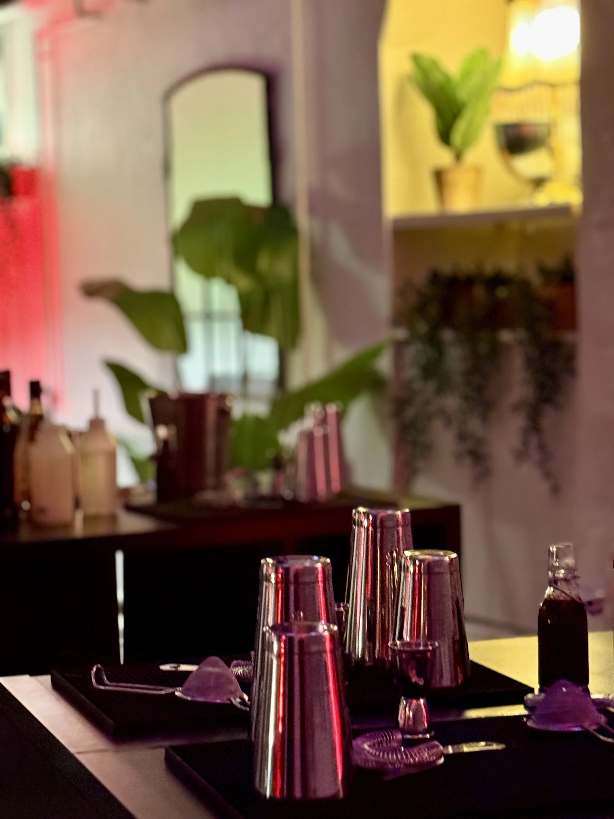 Cocktailkursus som julefrokost aktivitet i Aarhus