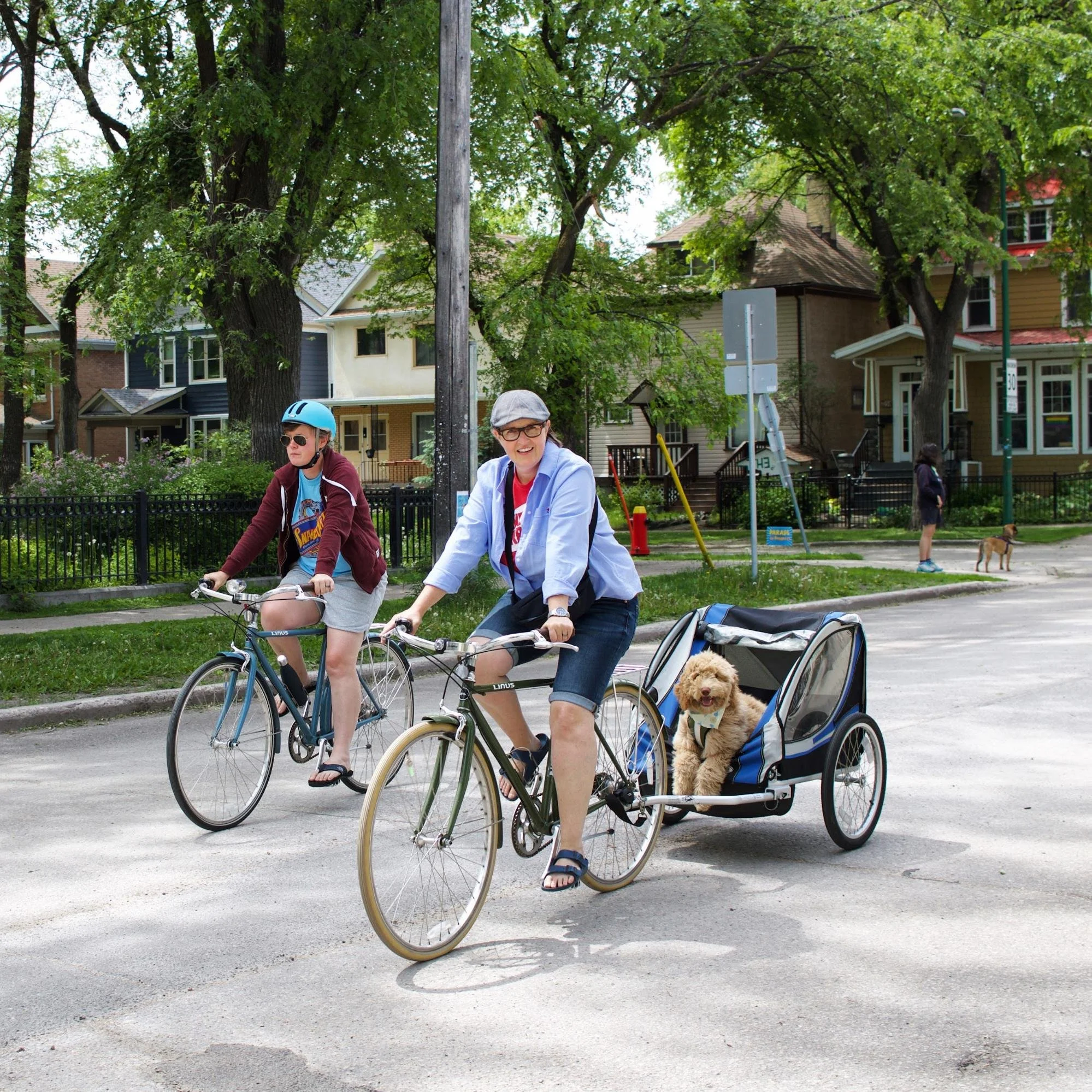 Two people biking, one with a bike trailer with a dog on it