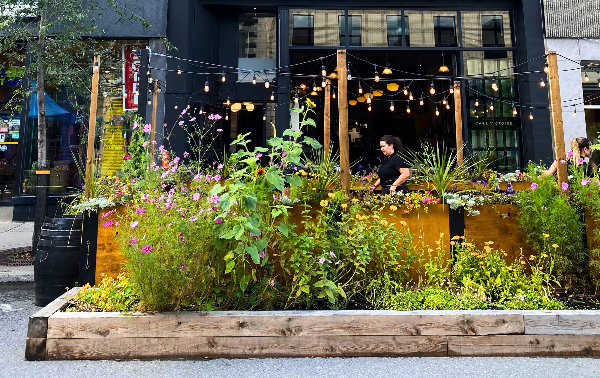 Elaborate planter boxes adorn Mont-Royal Avenue all summer in Montreal, providing thousands of plants and vegetables, absorbing urban heat, and beautifying the street. Photo taken by Holly Hixson, 2023.