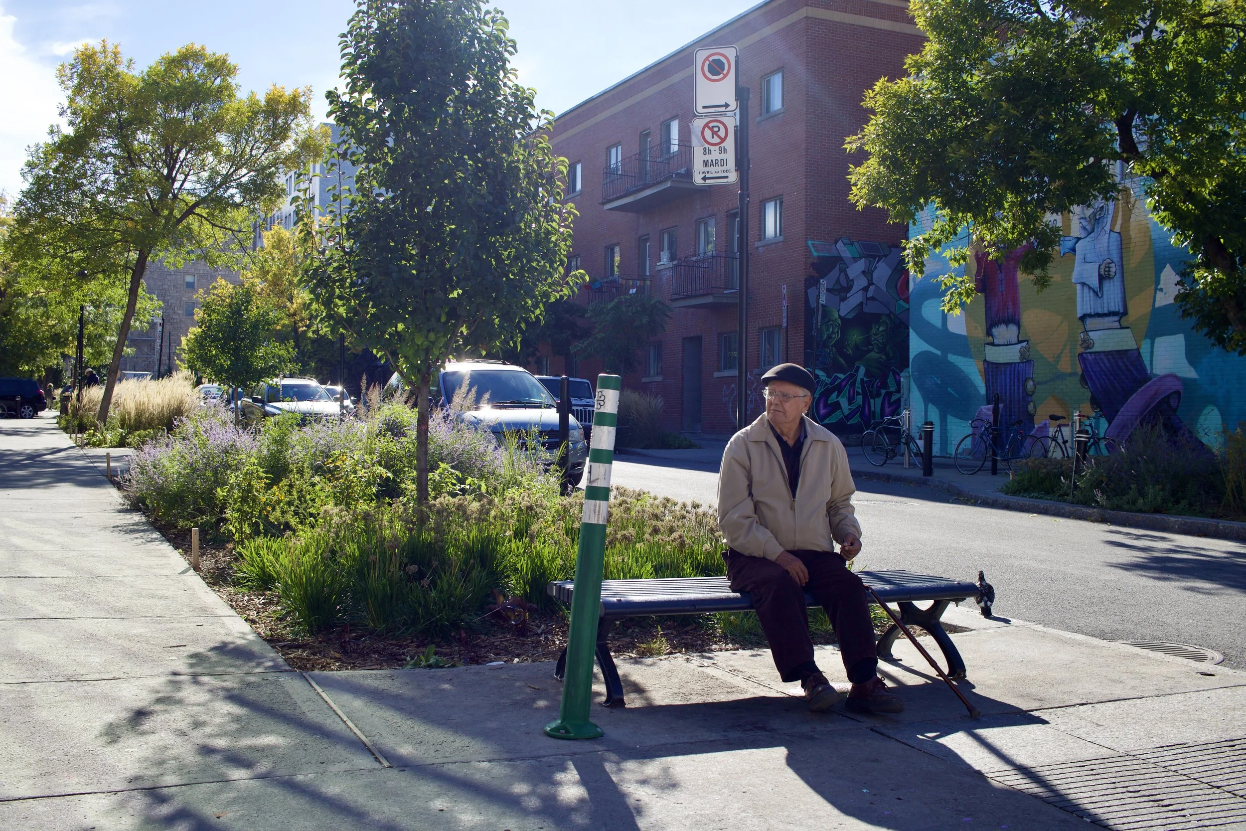 Older man sitting on a park bench in Montreal, QC
