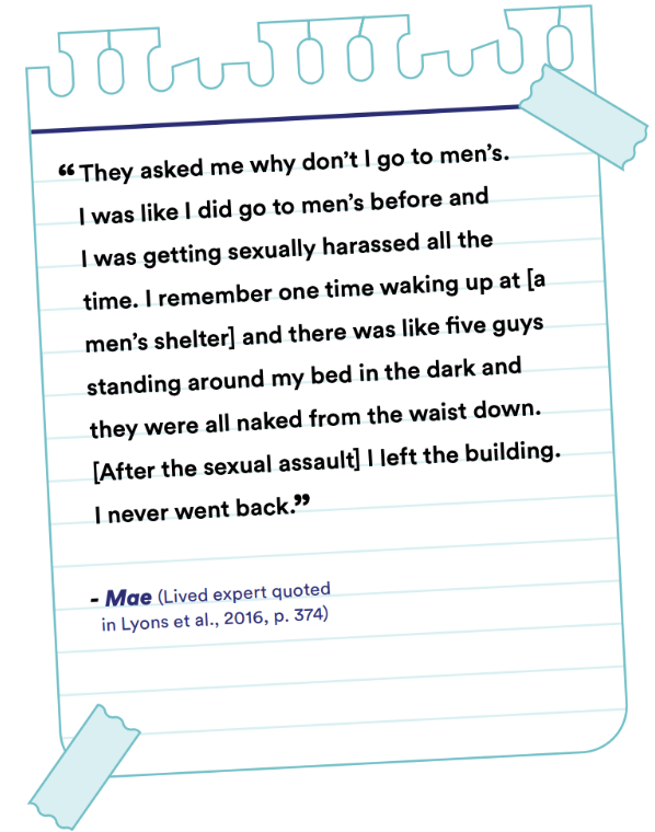 The State of Women's Housing Need & Homelessness in Canada, Executive Summary excerpt