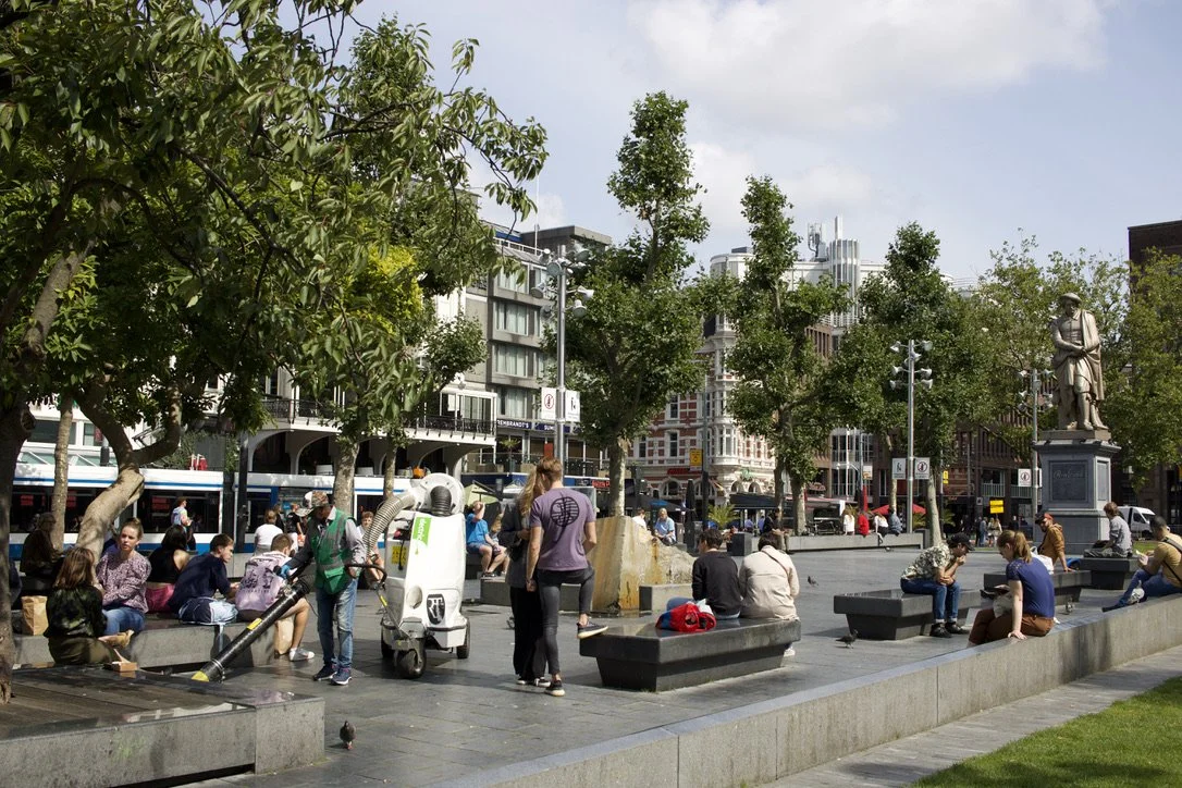 The Way we Shape Cities, Shapes us