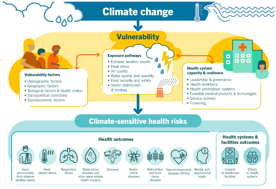 Climate sensitive health risks