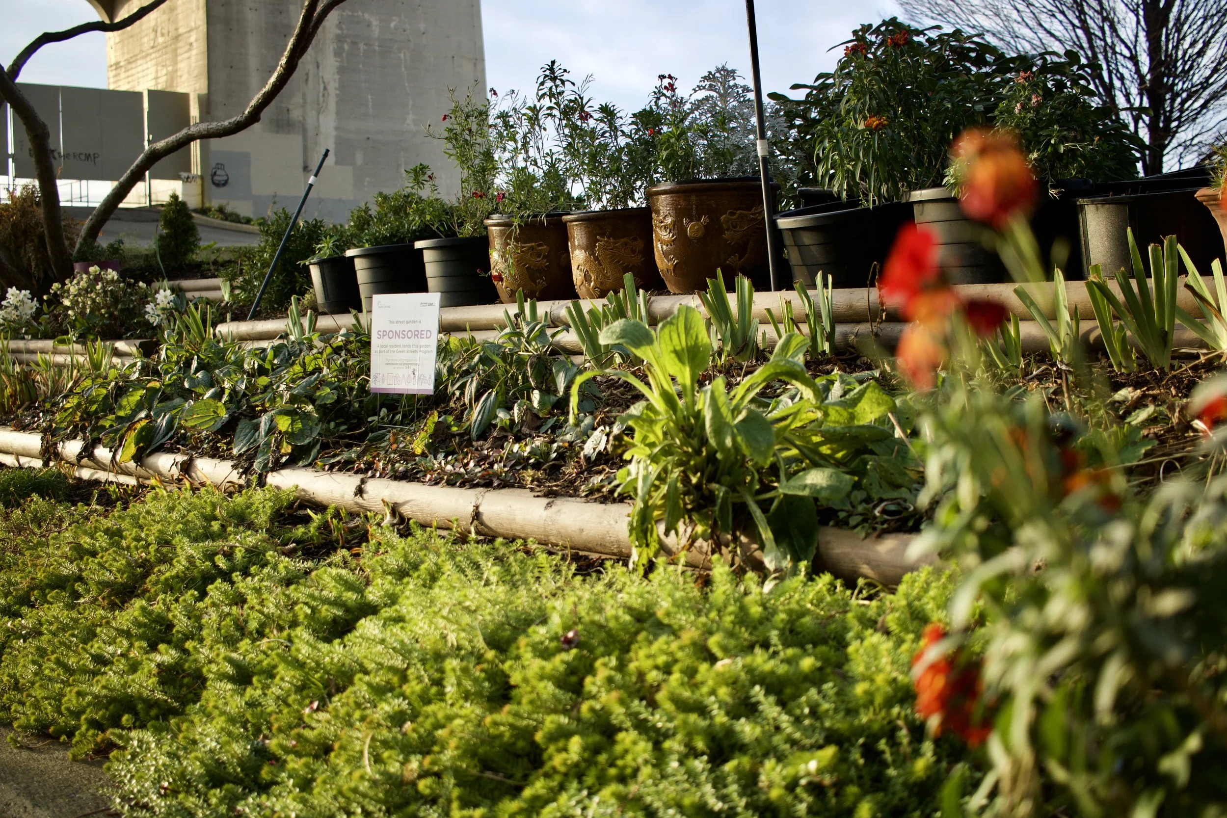Community Garden under bridge in Vancouver BC