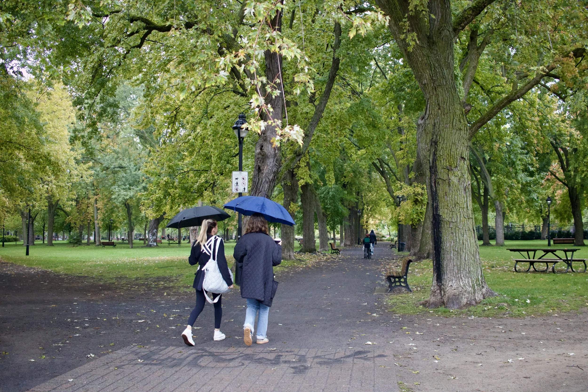 Edition 52: April 2026