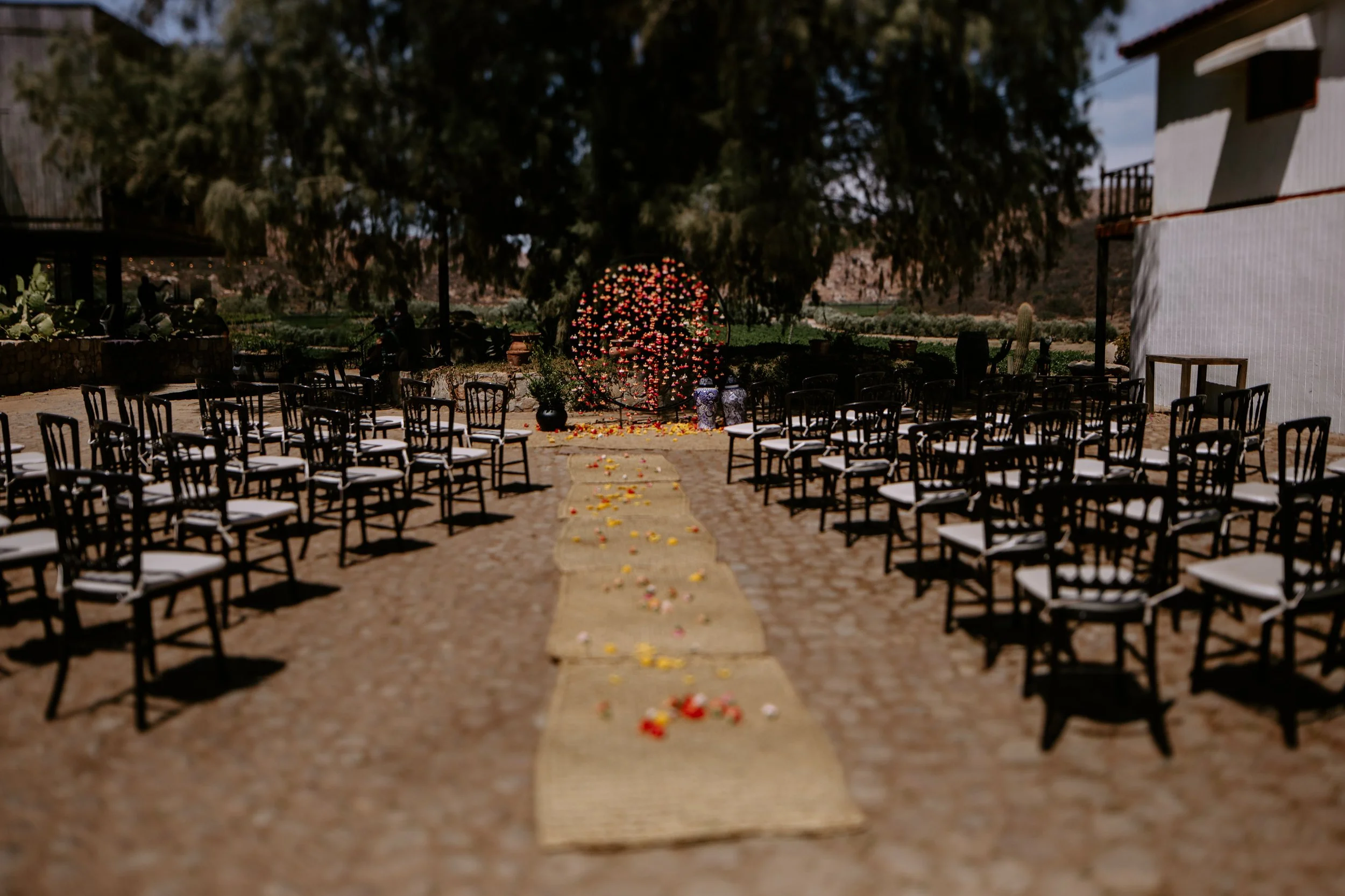 Madelyn+Indira 05 Ceremony Details Cat Dossett I Take Photos-4.jpg