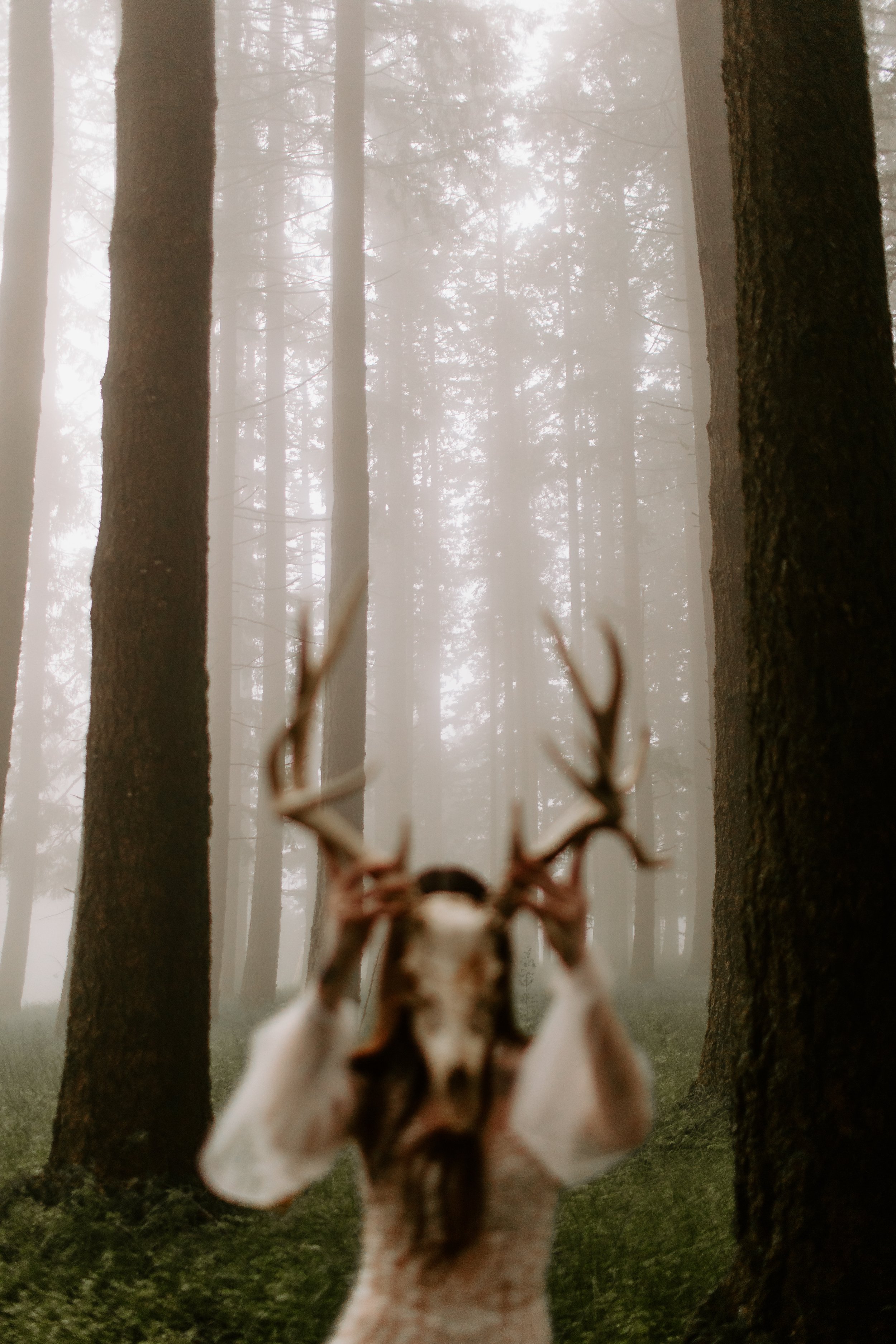 Gothic Woods Elle Cat Dossett I Take Photos-38.jpg