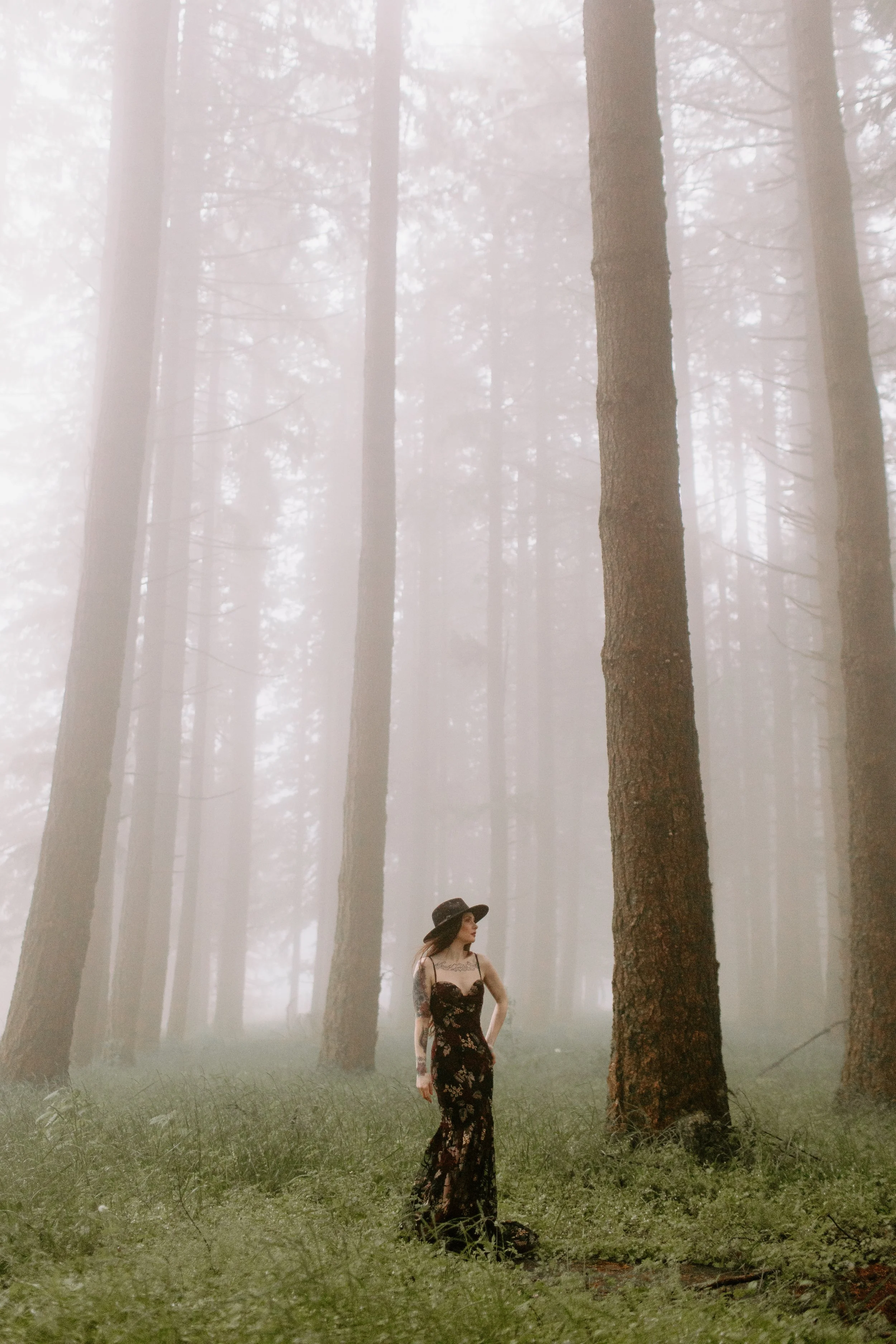 Gothic Woods Elle Cat Dossett I Take Photos-158.jpg