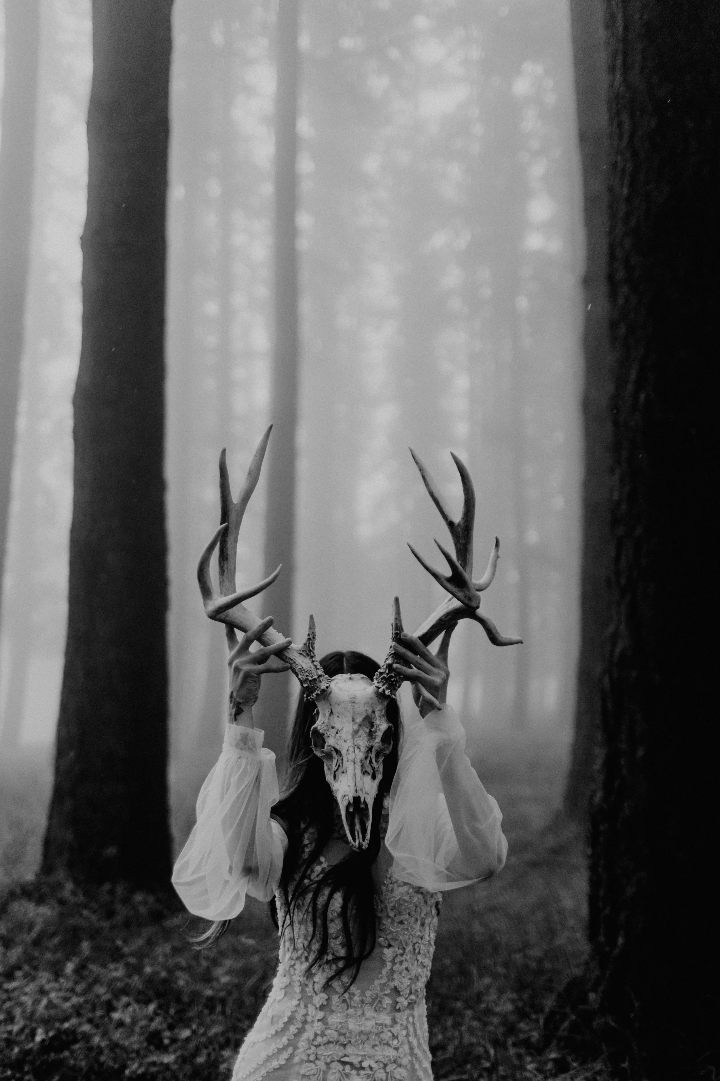 Gothic Woods Elle Cat Dossett I Take Photos-302.jpg