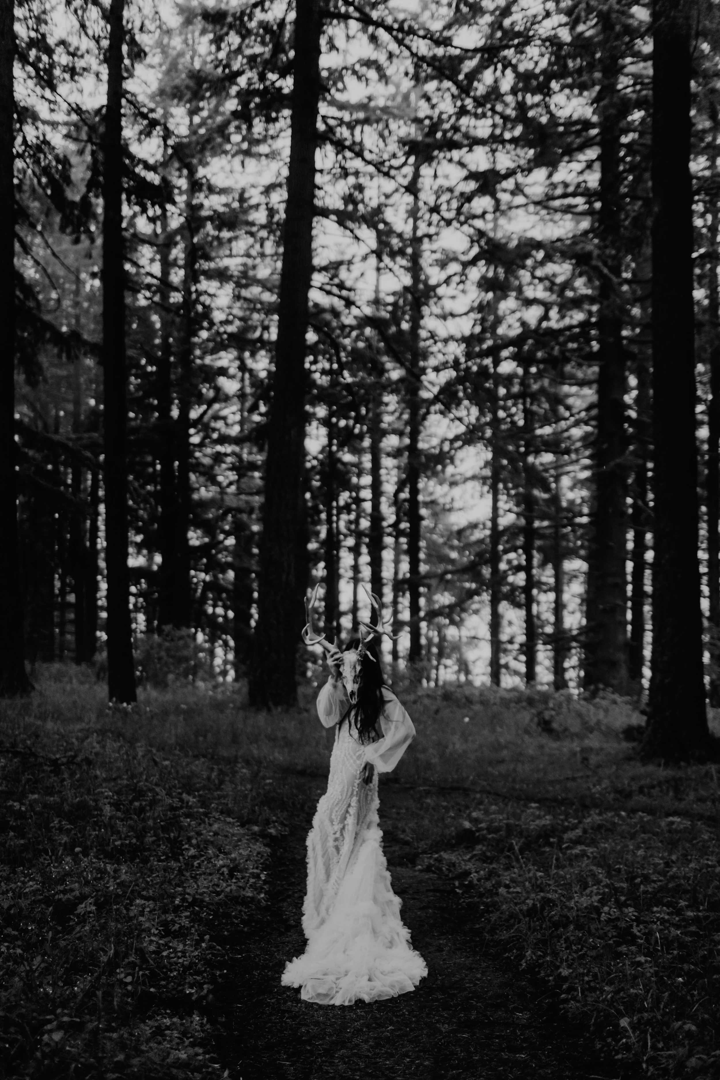 Gothic Woods Elle Cat Dossett I Take Photos-308.jpg