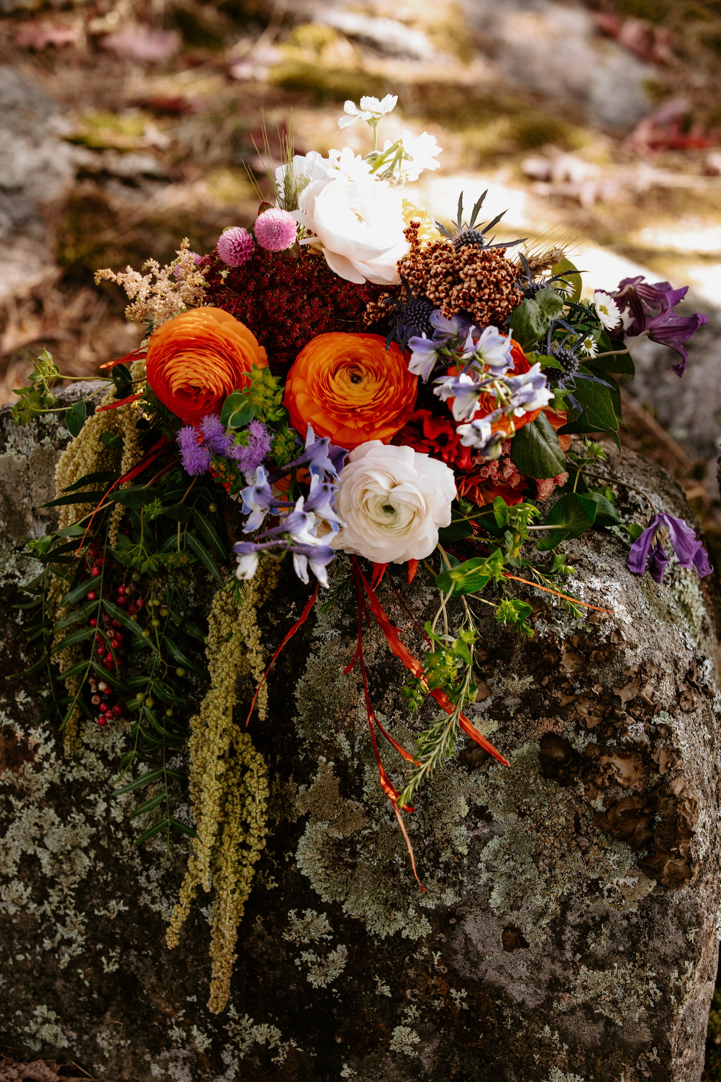 Daria+Dylan Wedding Celebration Day 2 Cat Dossett I Take Photos-106.jpg