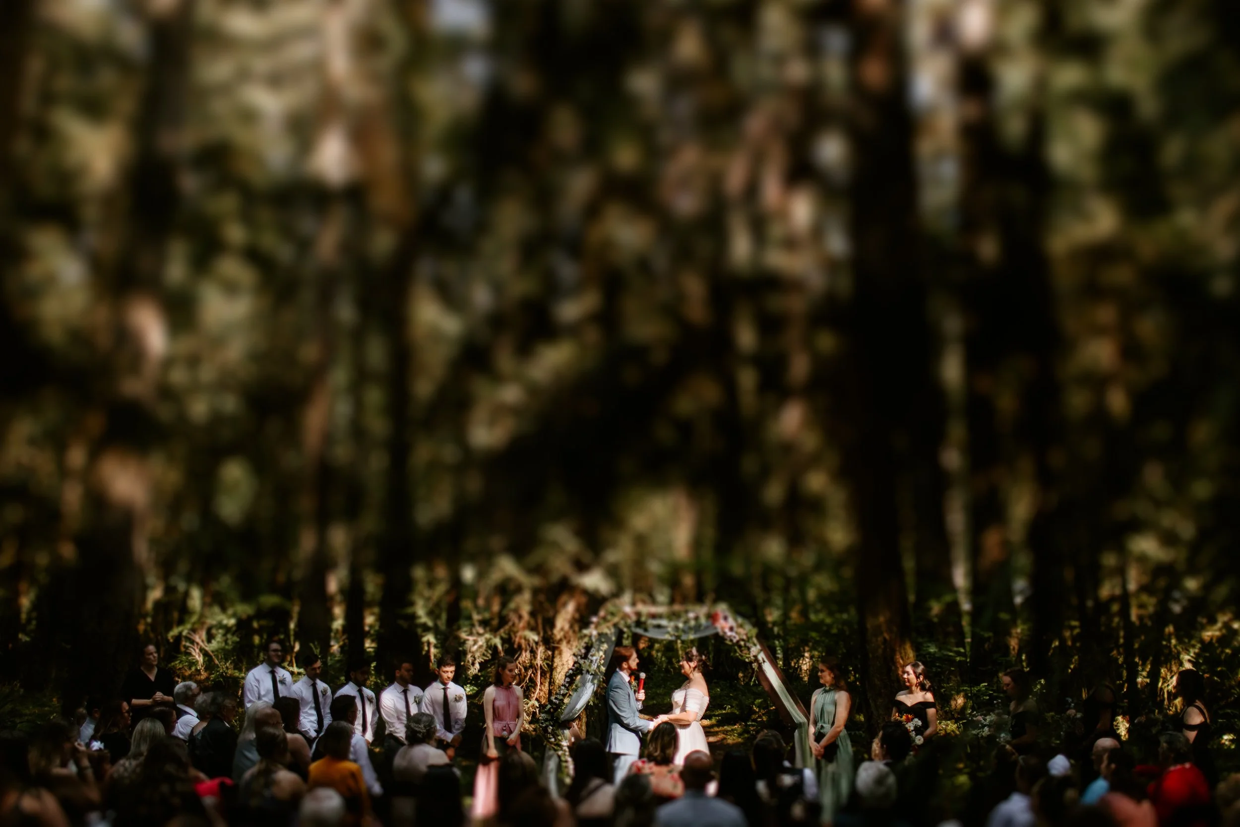 Brooke+Robbie Married 05 Ceremony Cat Dossett I Take Photos-254.jpg