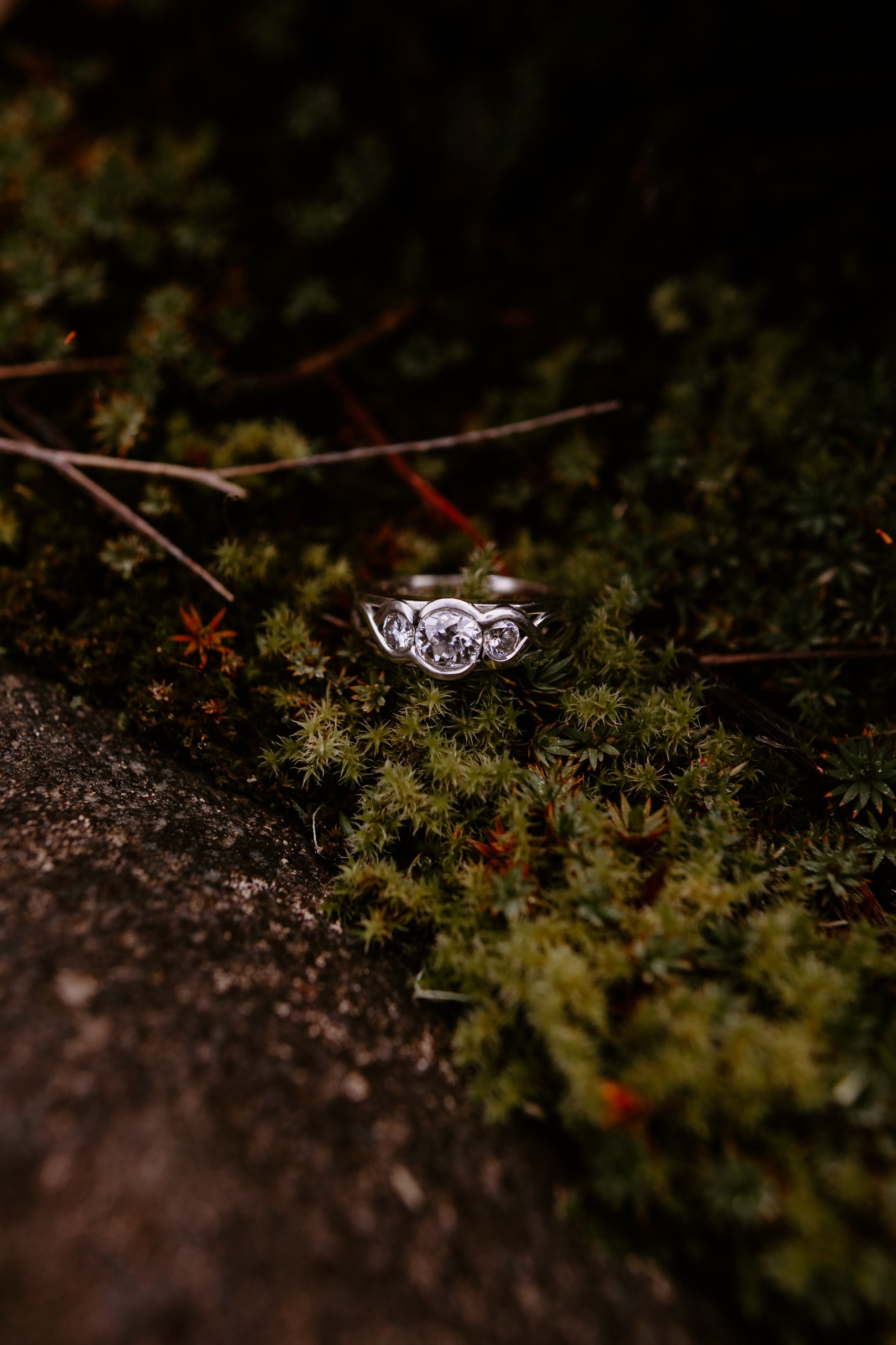 JD+Annika Engaged Cat Dossett I Take Photos-37.jpg