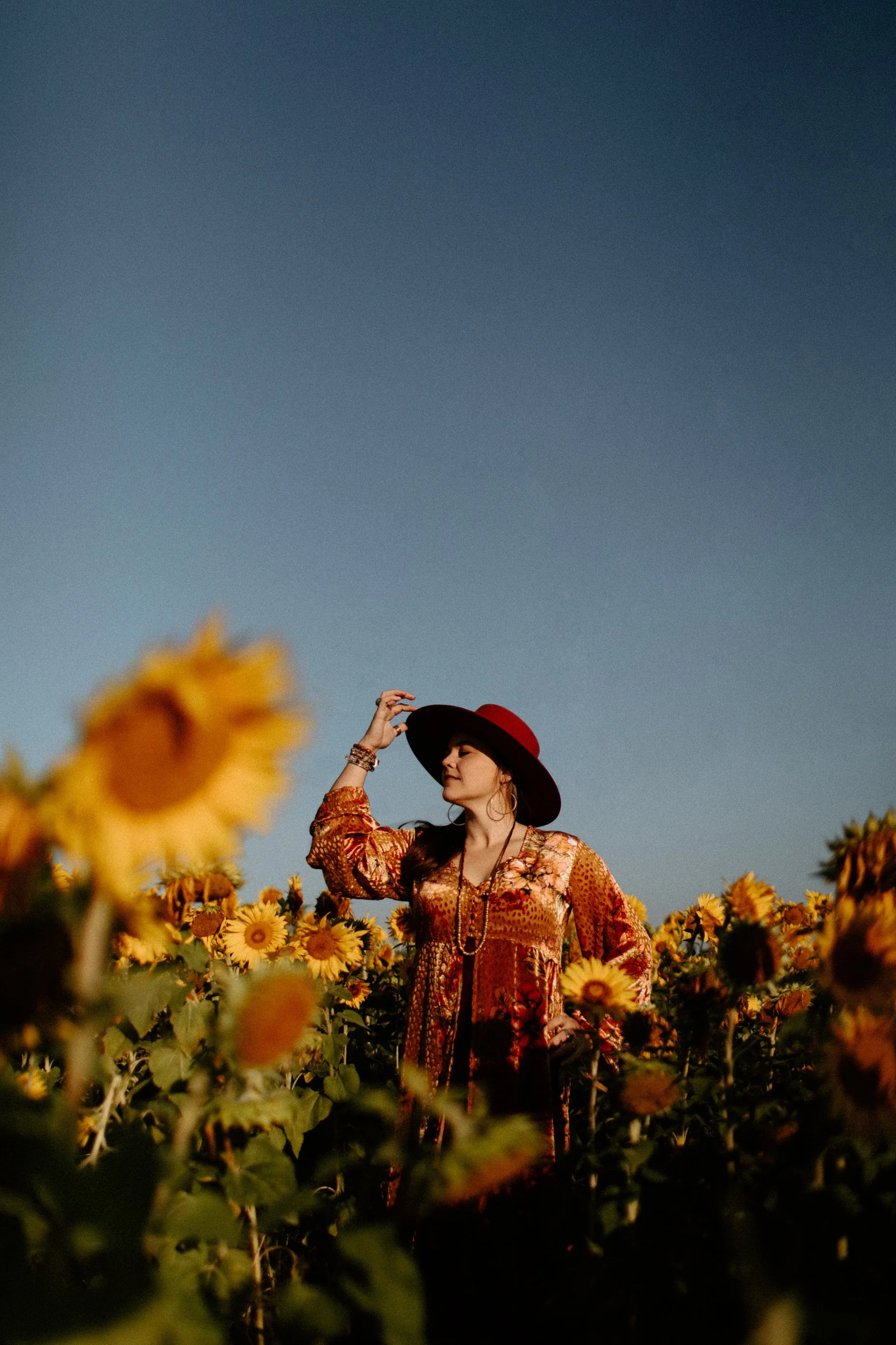 Sunflowers Cat Dossett I Take Photos-13.jpg