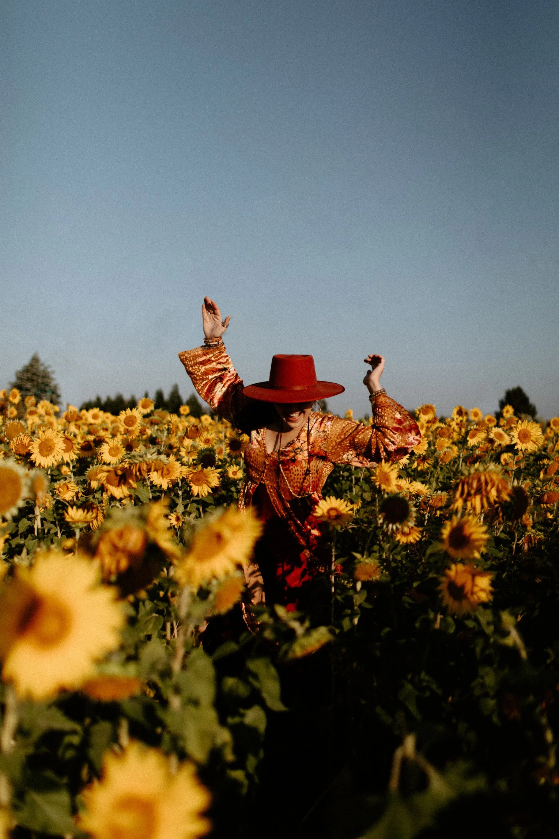 Sunflowers Cat Dossett I Take Photos-19.jpg