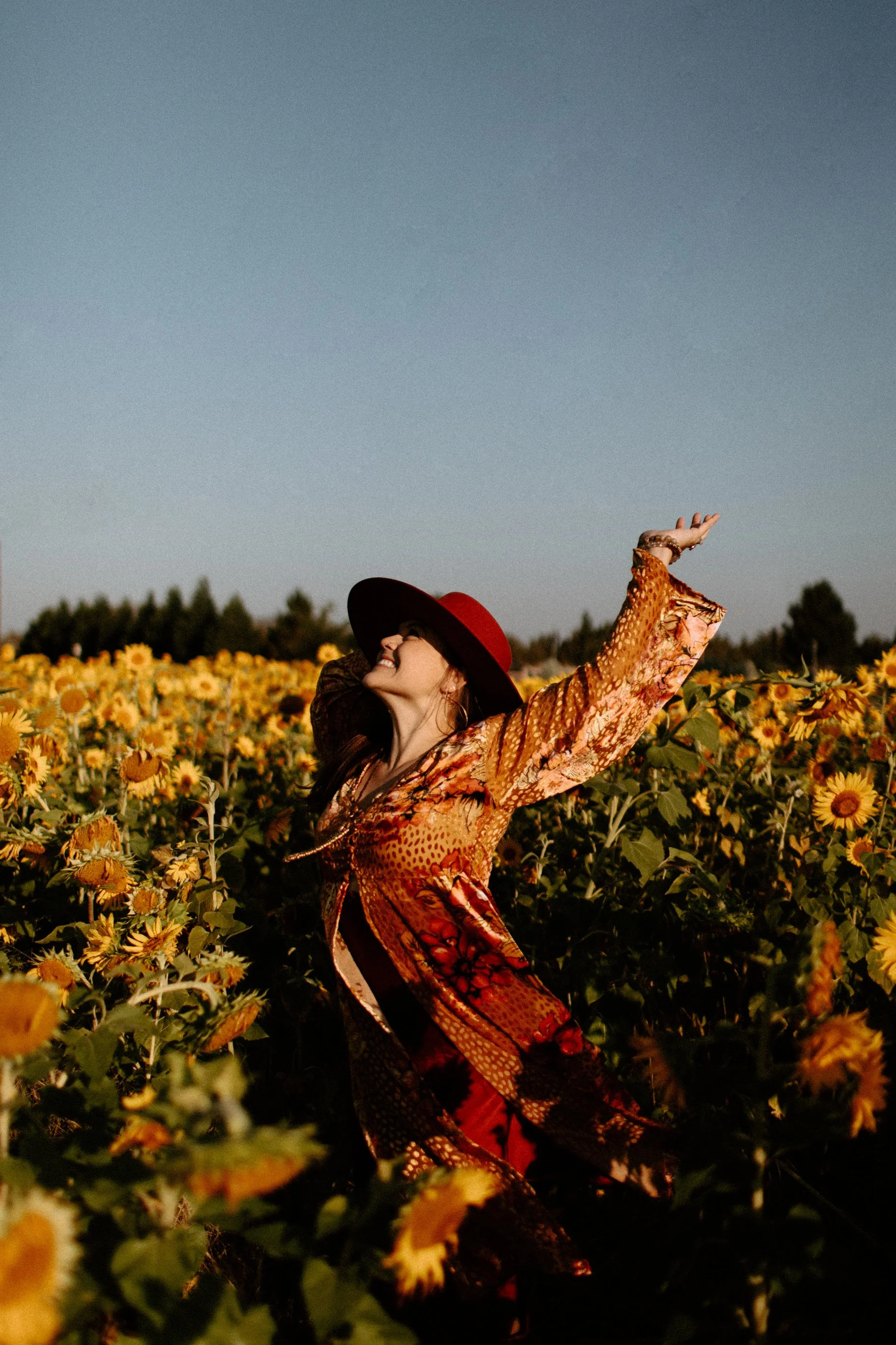 Sunflowers Cat Dossett I Take Photos-23.jpg