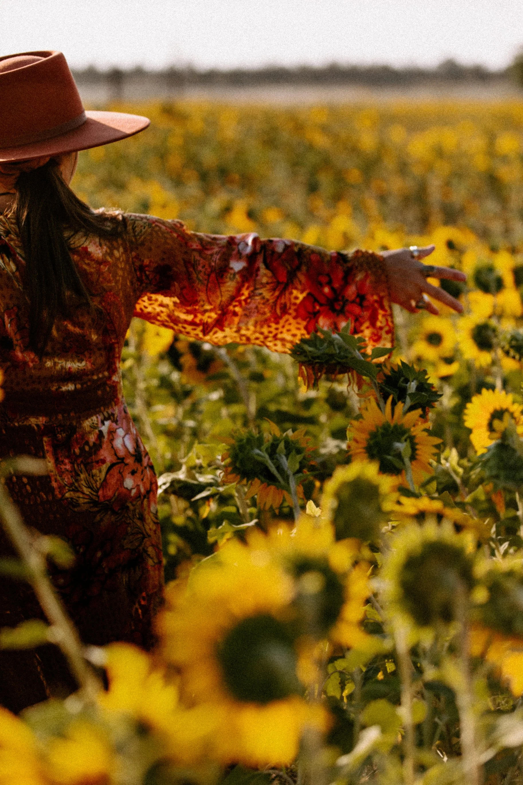 Sunflowers Cat Dossett I Take Photos-30.jpg