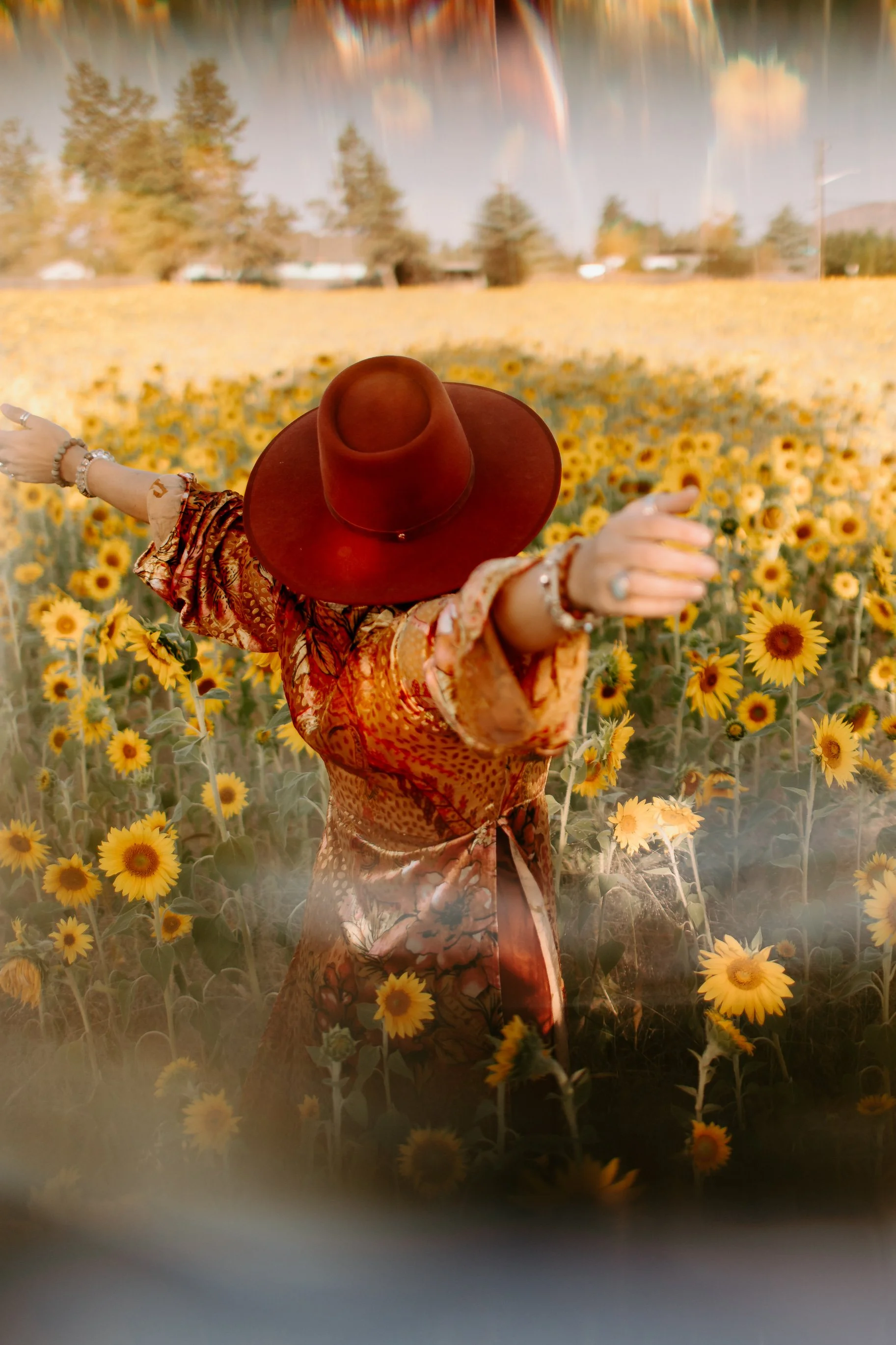 Sunflowers Cat Dossett I Take Photos-40.jpg