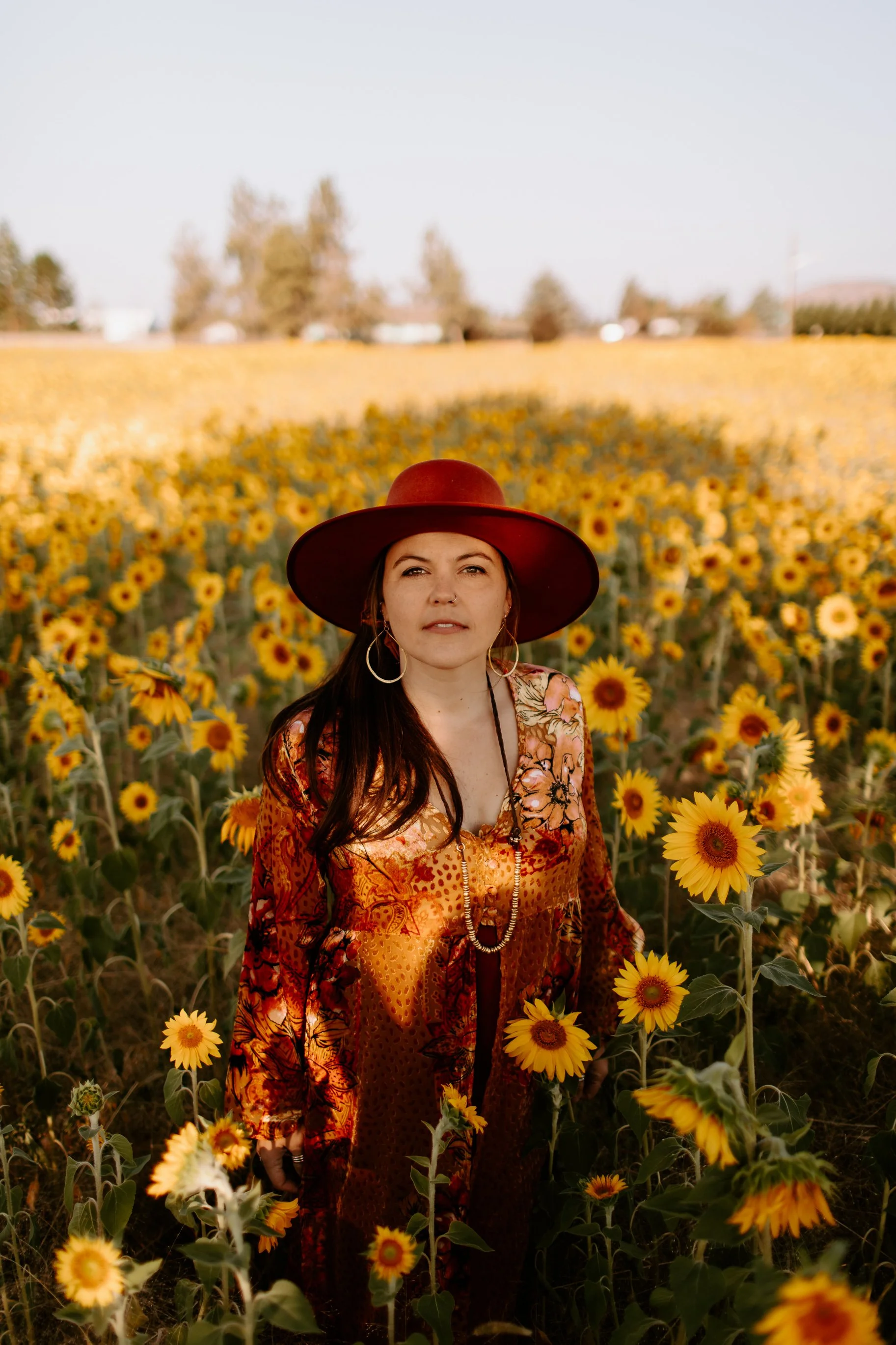 Sunflowers Cat Dossett I Take Photos-44.jpg